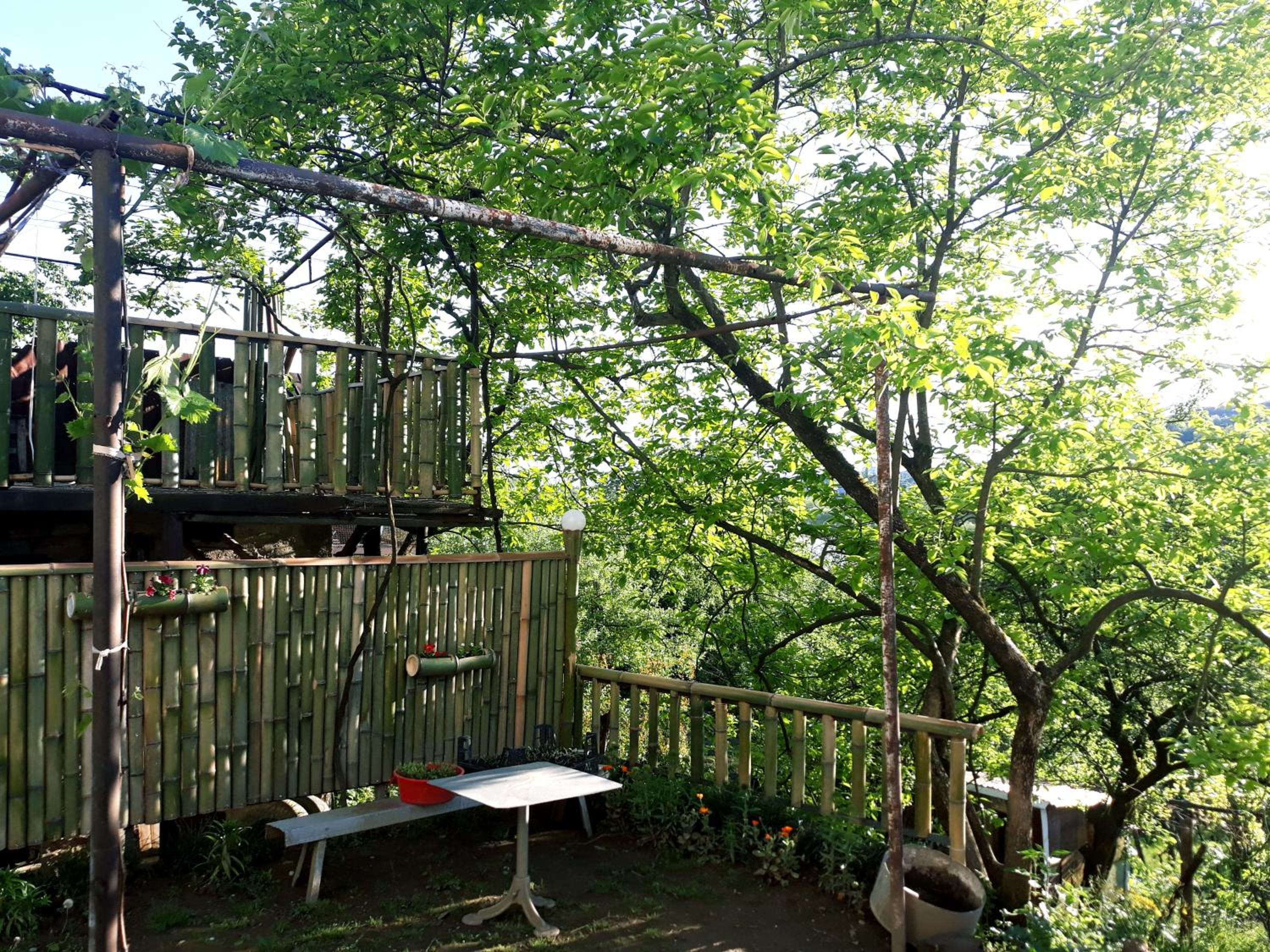 Photo 33
