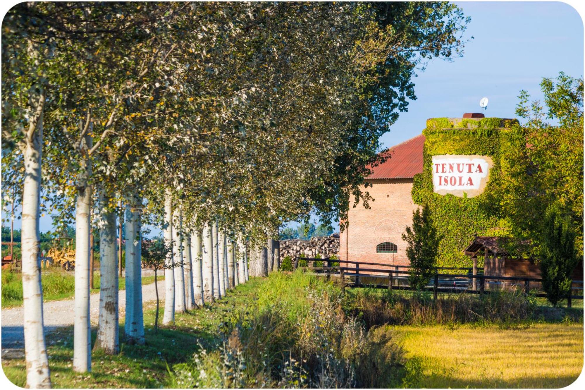 Tenuta Isola view 5