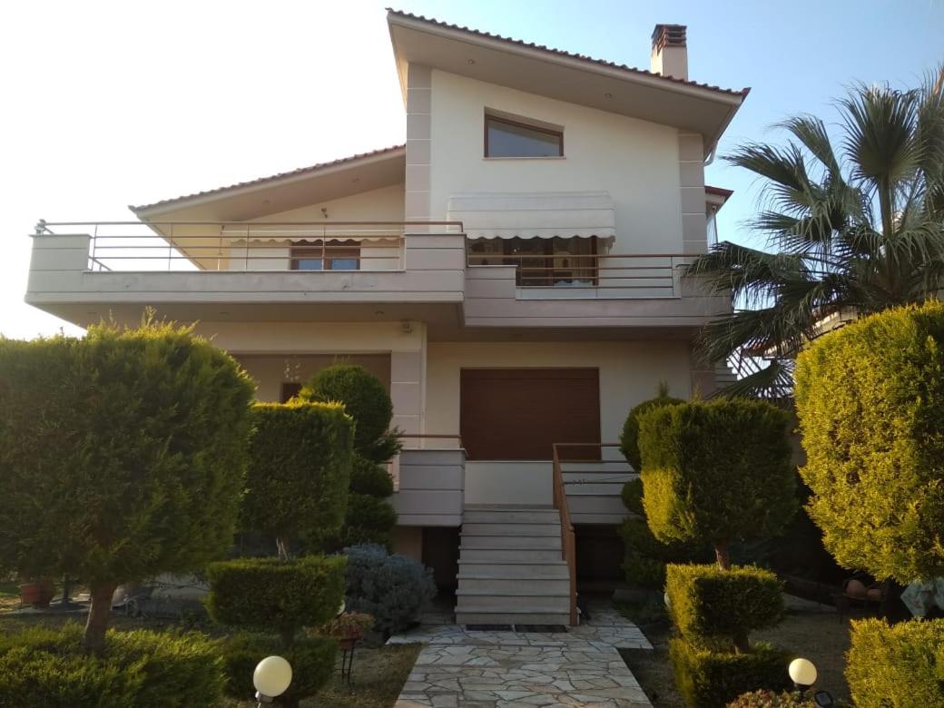 Family resort in Nea Vrasna view 2