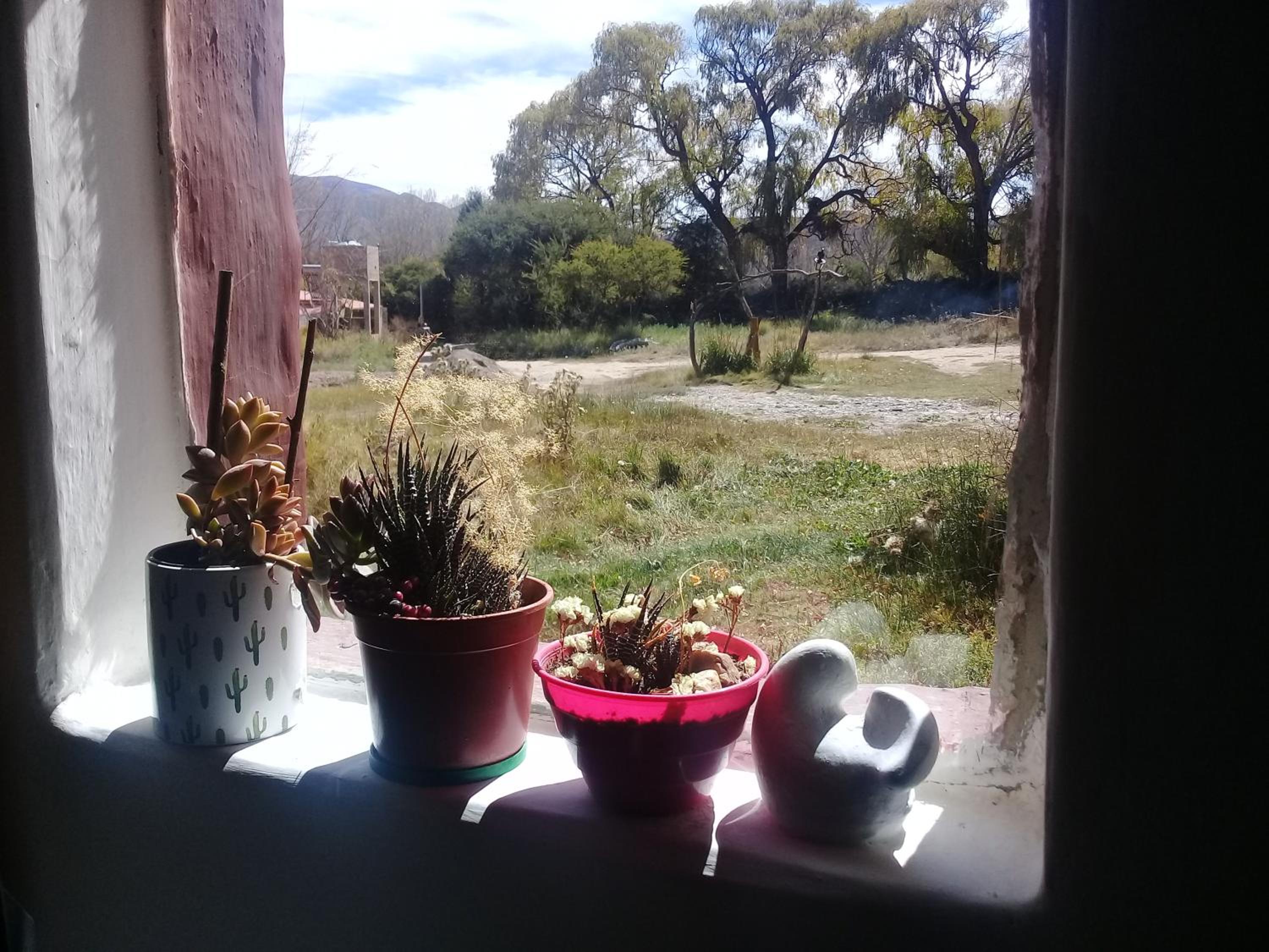 Cabaña El Cardón,casita en el campo quebradeño