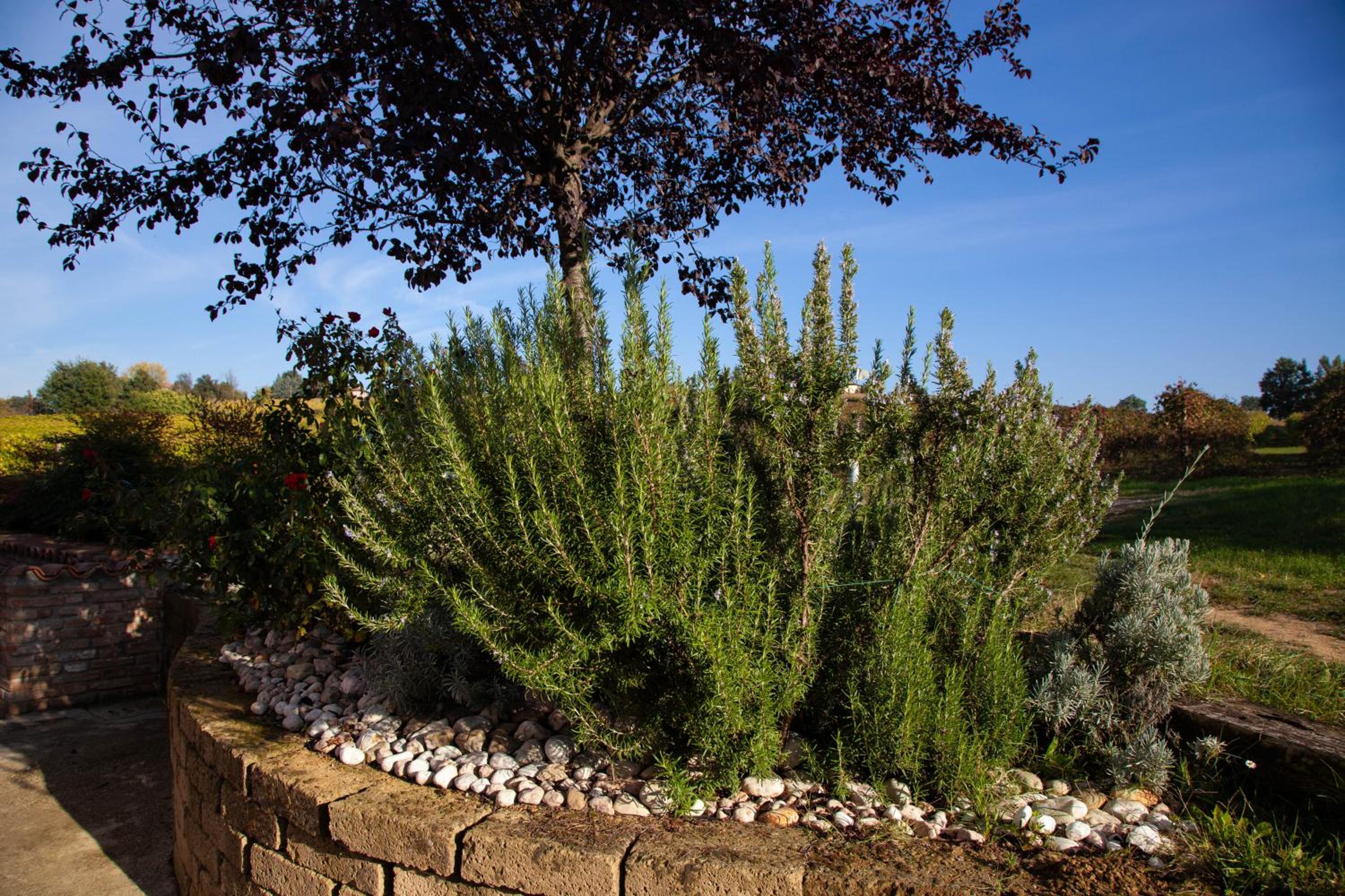 Photo 40