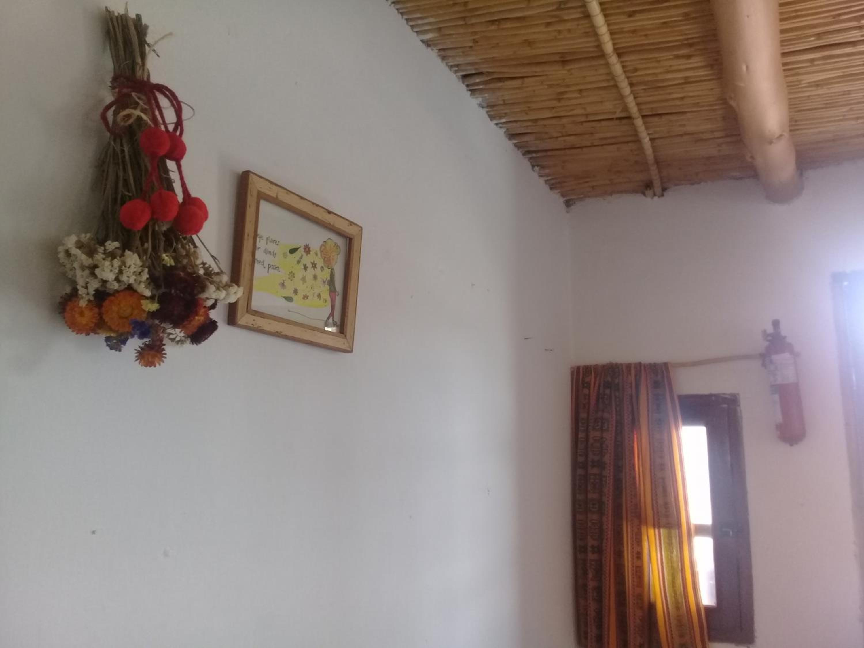 Cabaña El Cardón,casita en el campo quebradeño