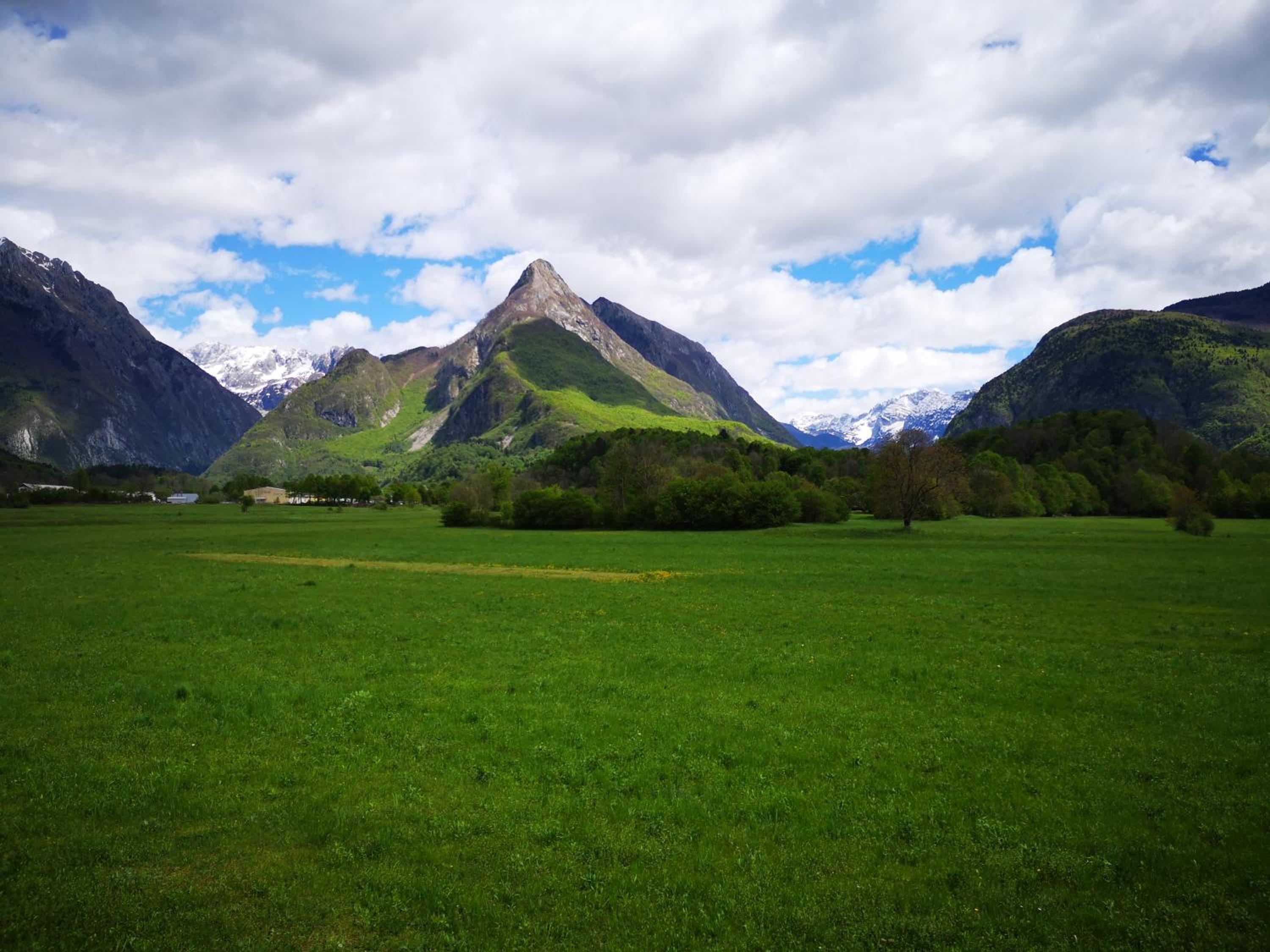 Photo 40