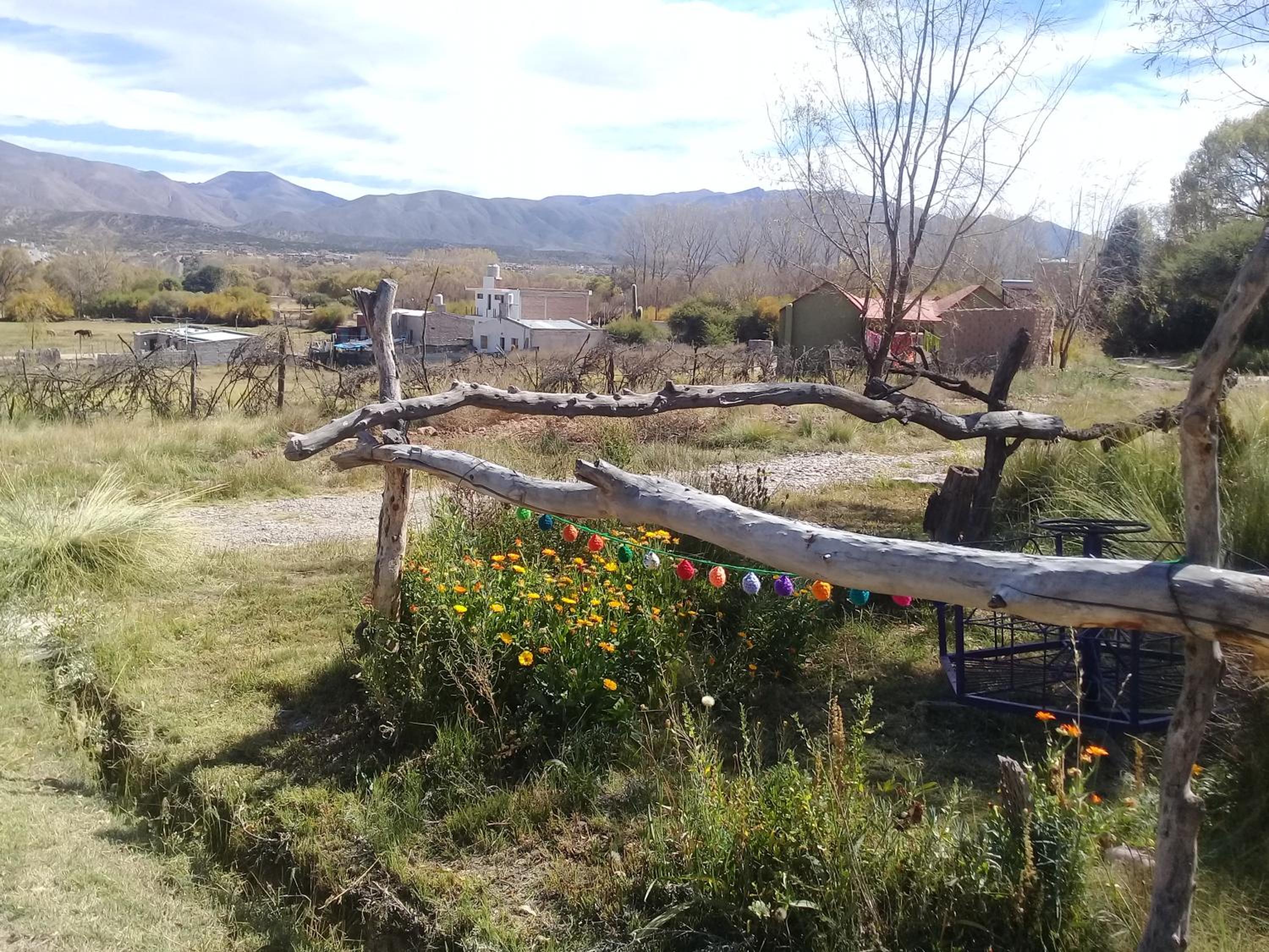Cabaña El Cardón,casita en el campo quebradeño