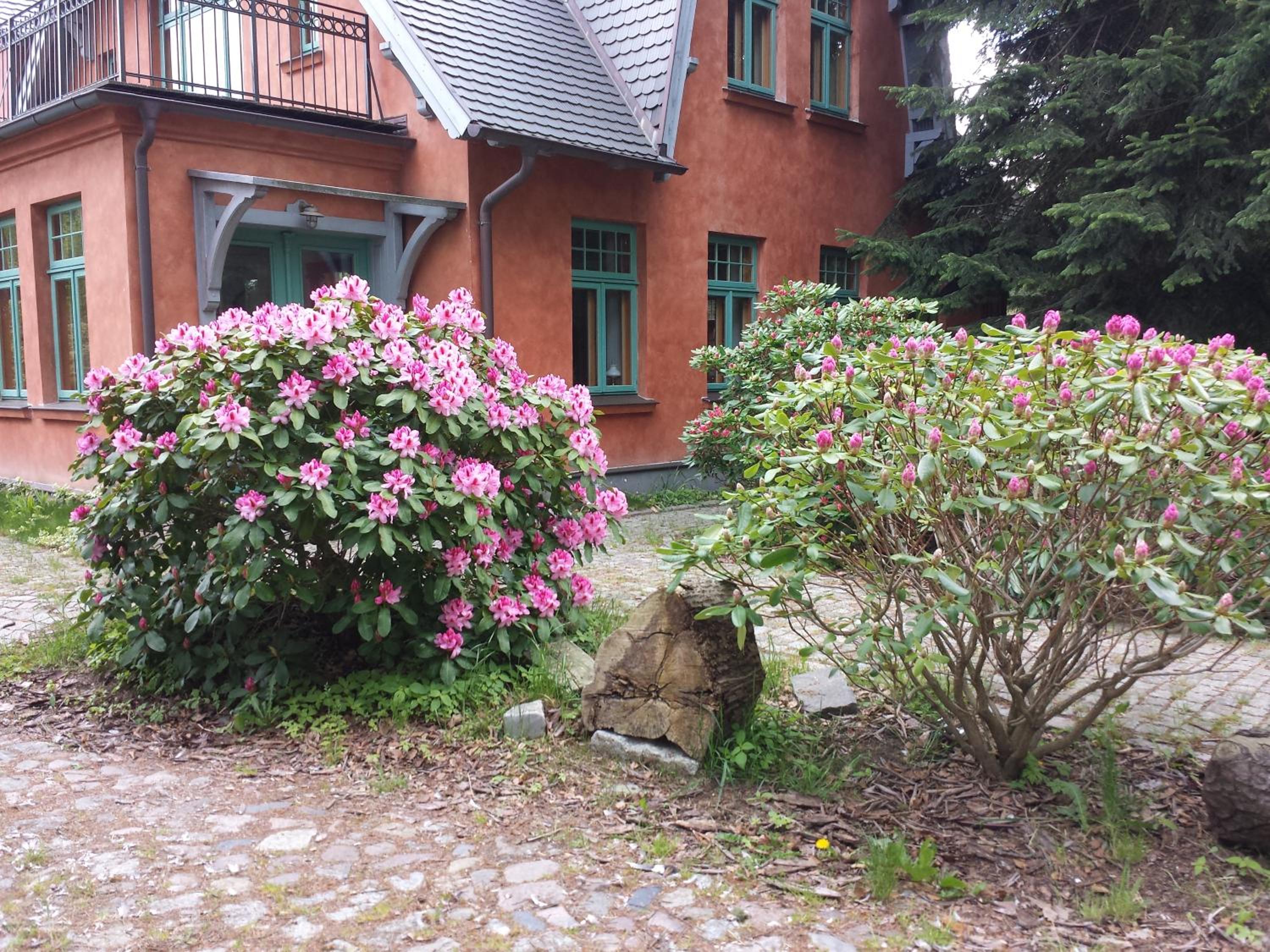 Ferienhaus am Wasserturm für 6 Erwachsene und 9 Kinder