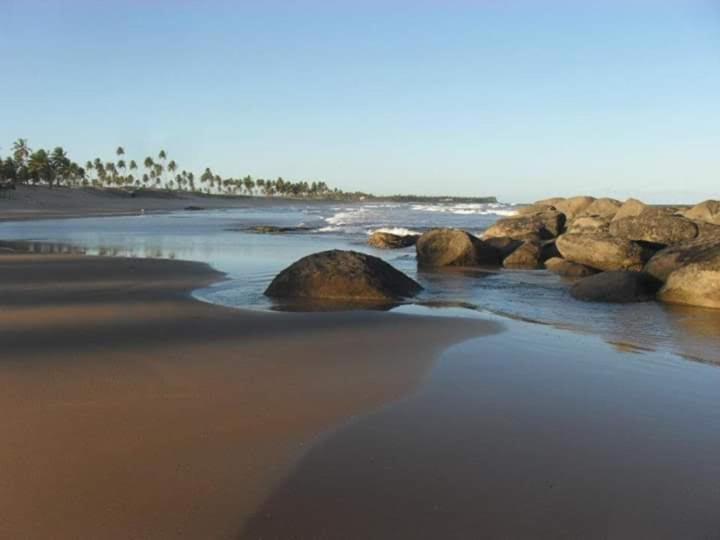 Photo 51