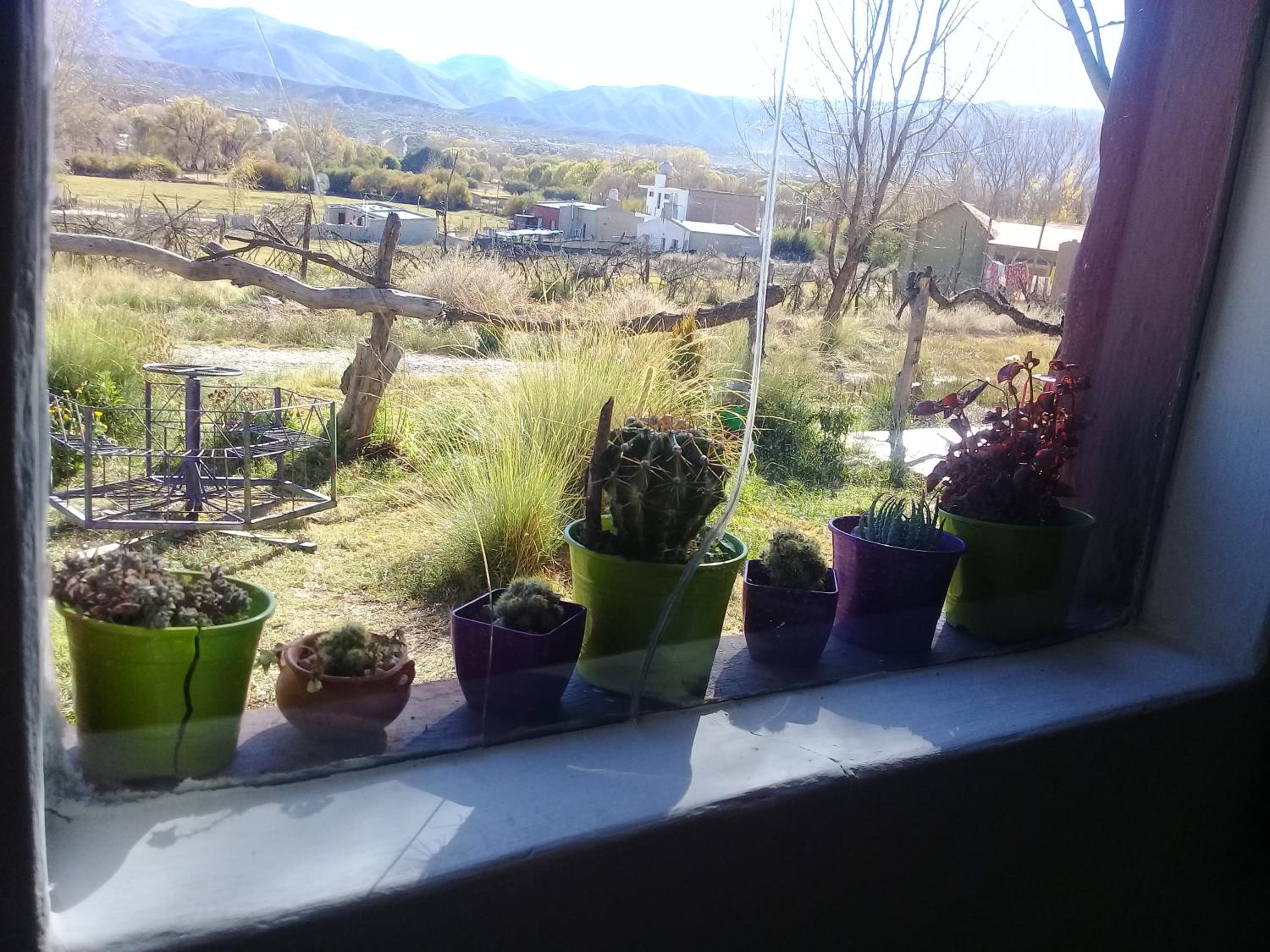 Cabaña El Cardón,casita en el campo quebradeño