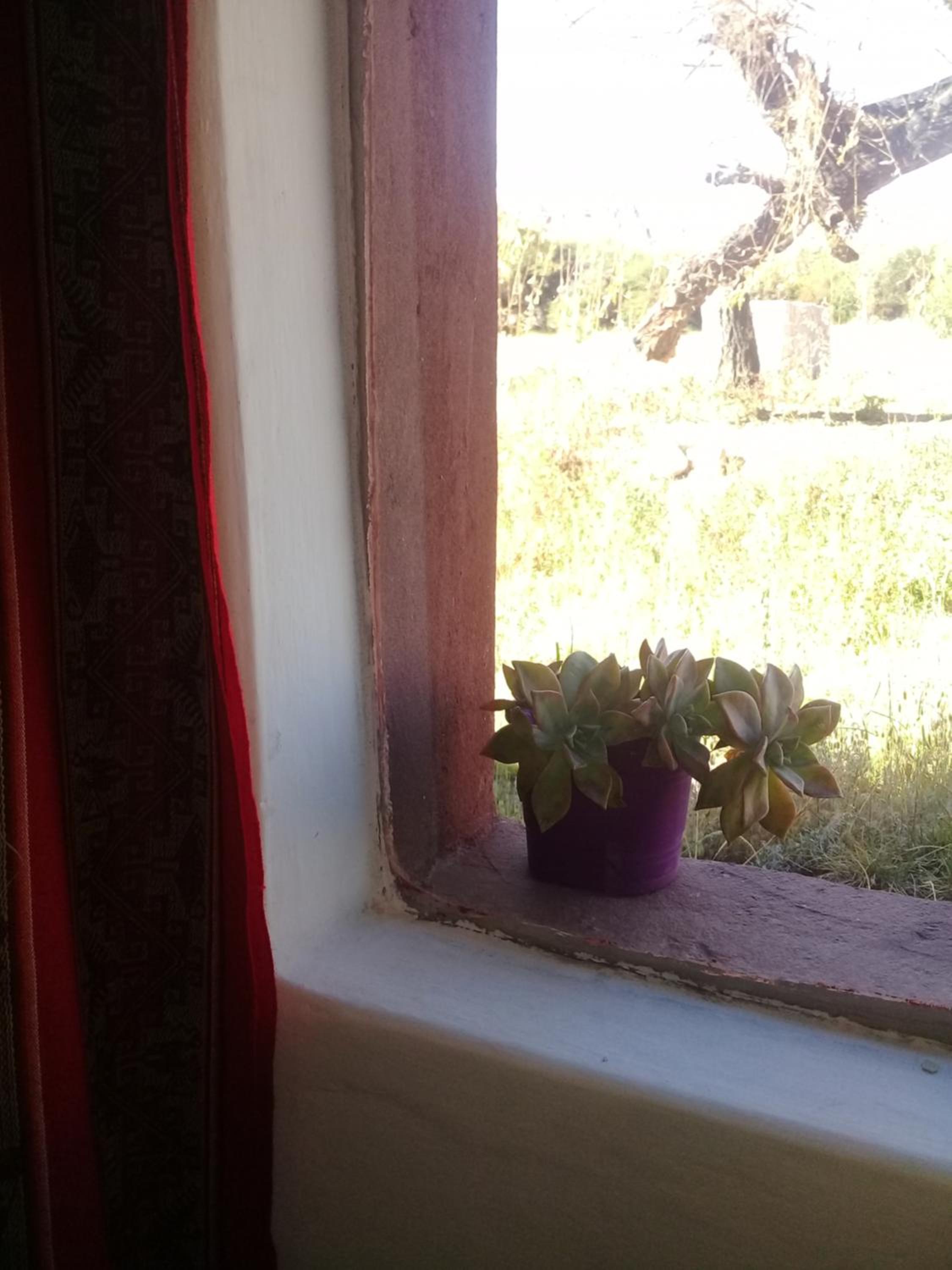 Cabaña El Cardón,casita en el campo quebradeño