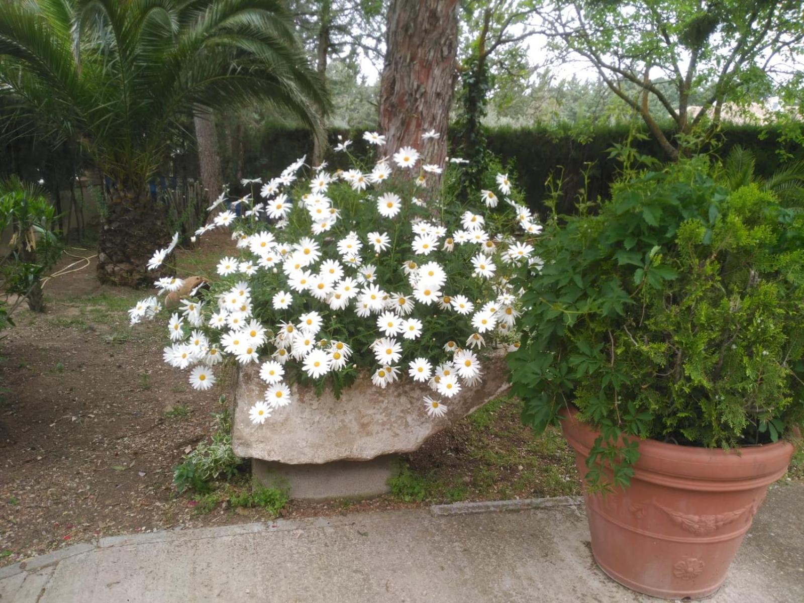 Photo 52