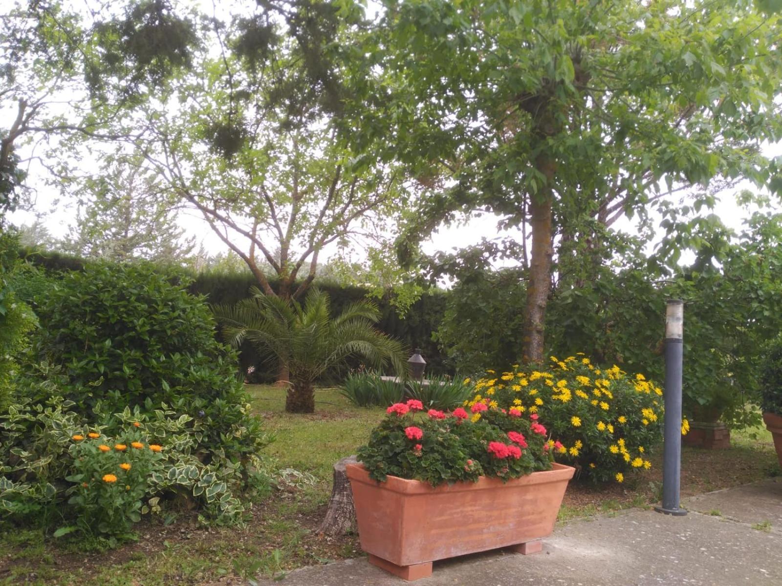Photo 49
