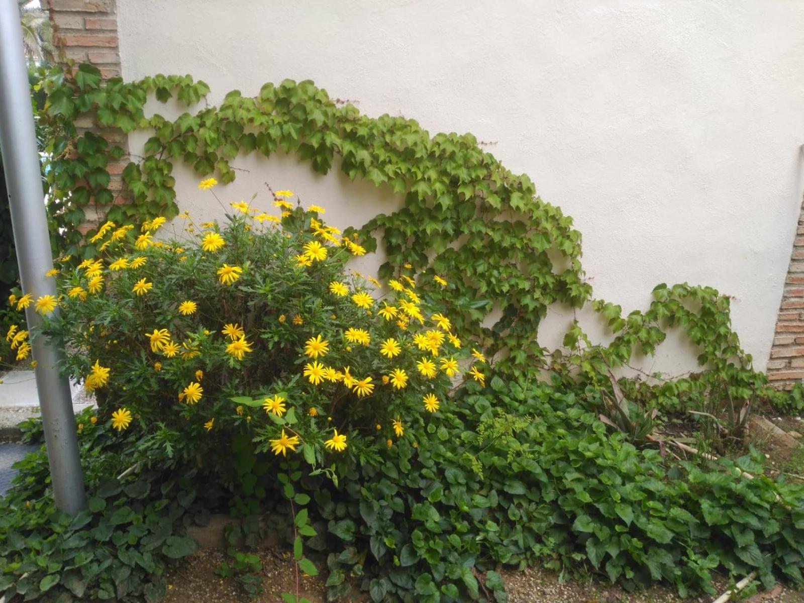 Photo 50