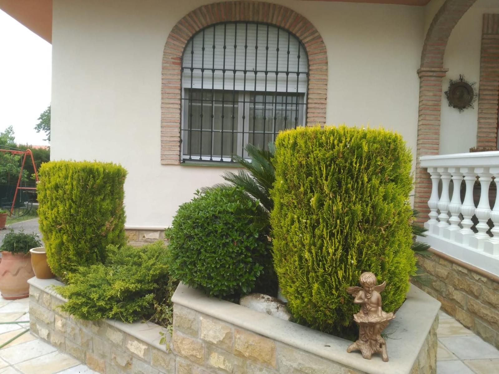 Photo 46