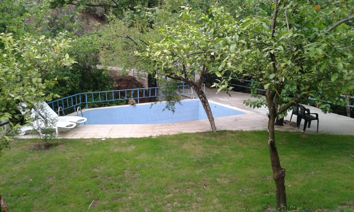 Photo 44