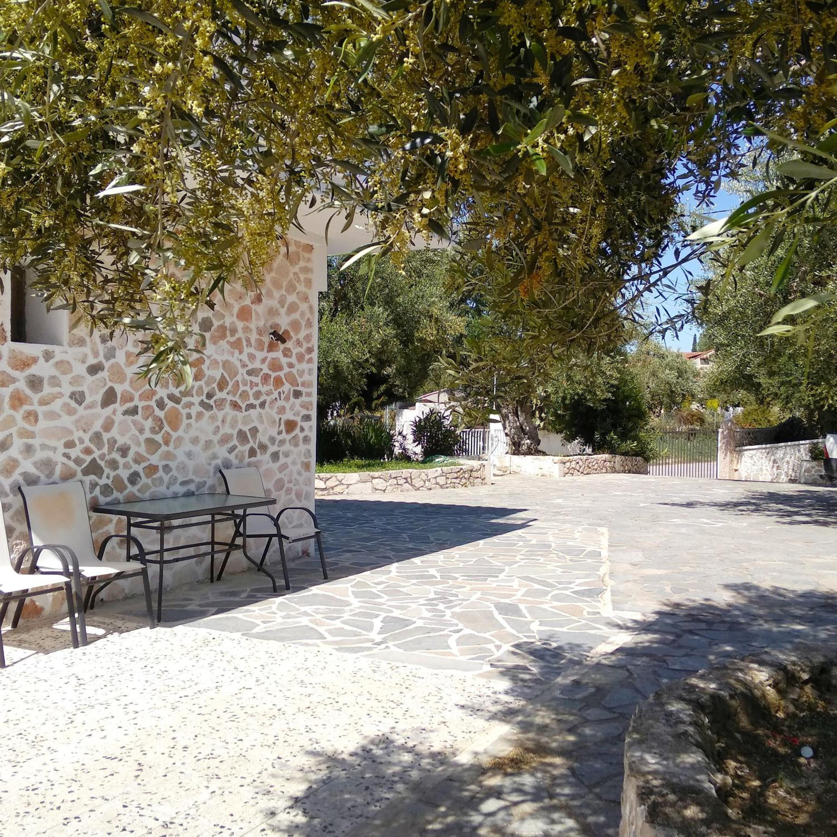 Photo 45