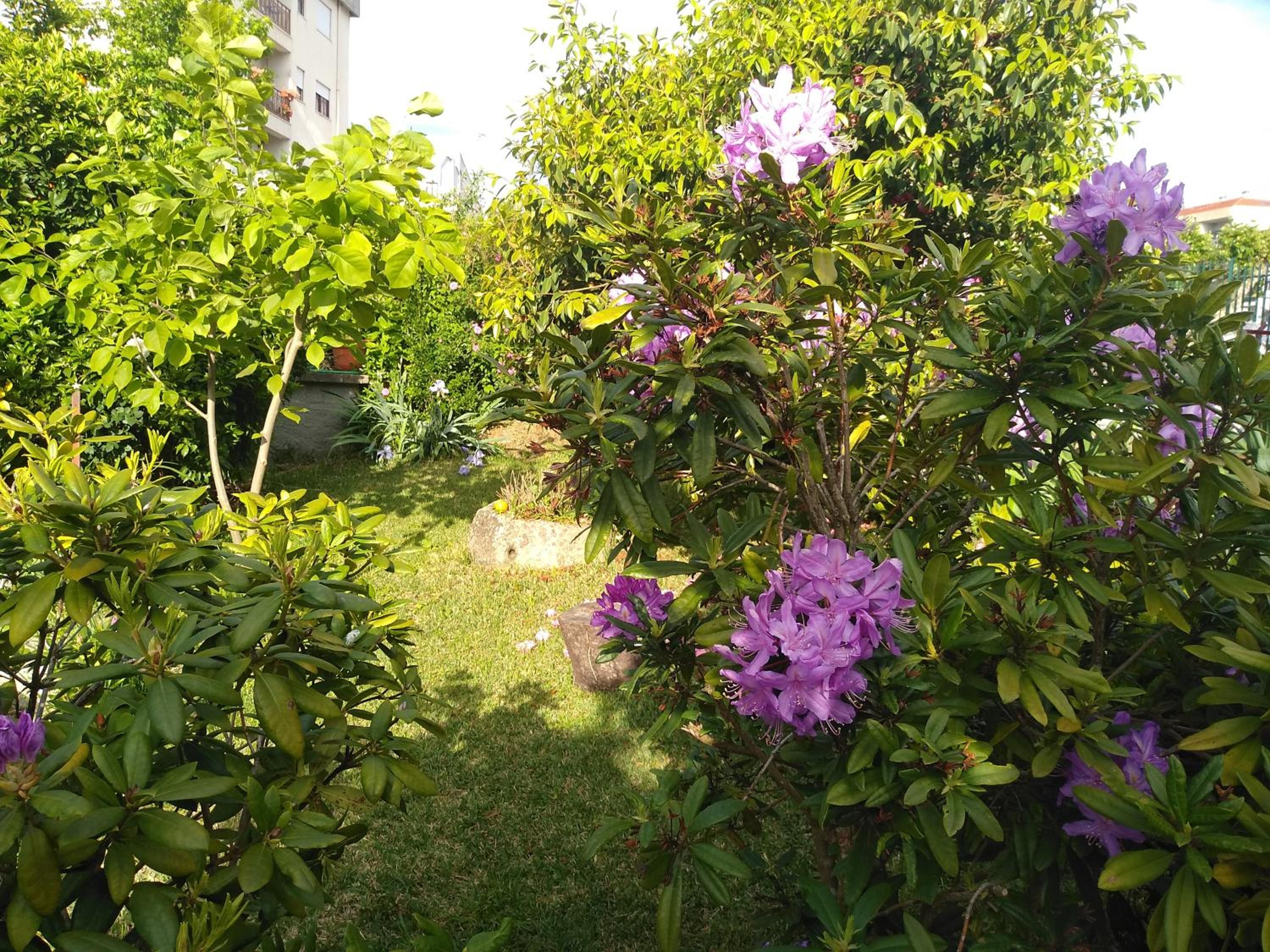 Photo 57
