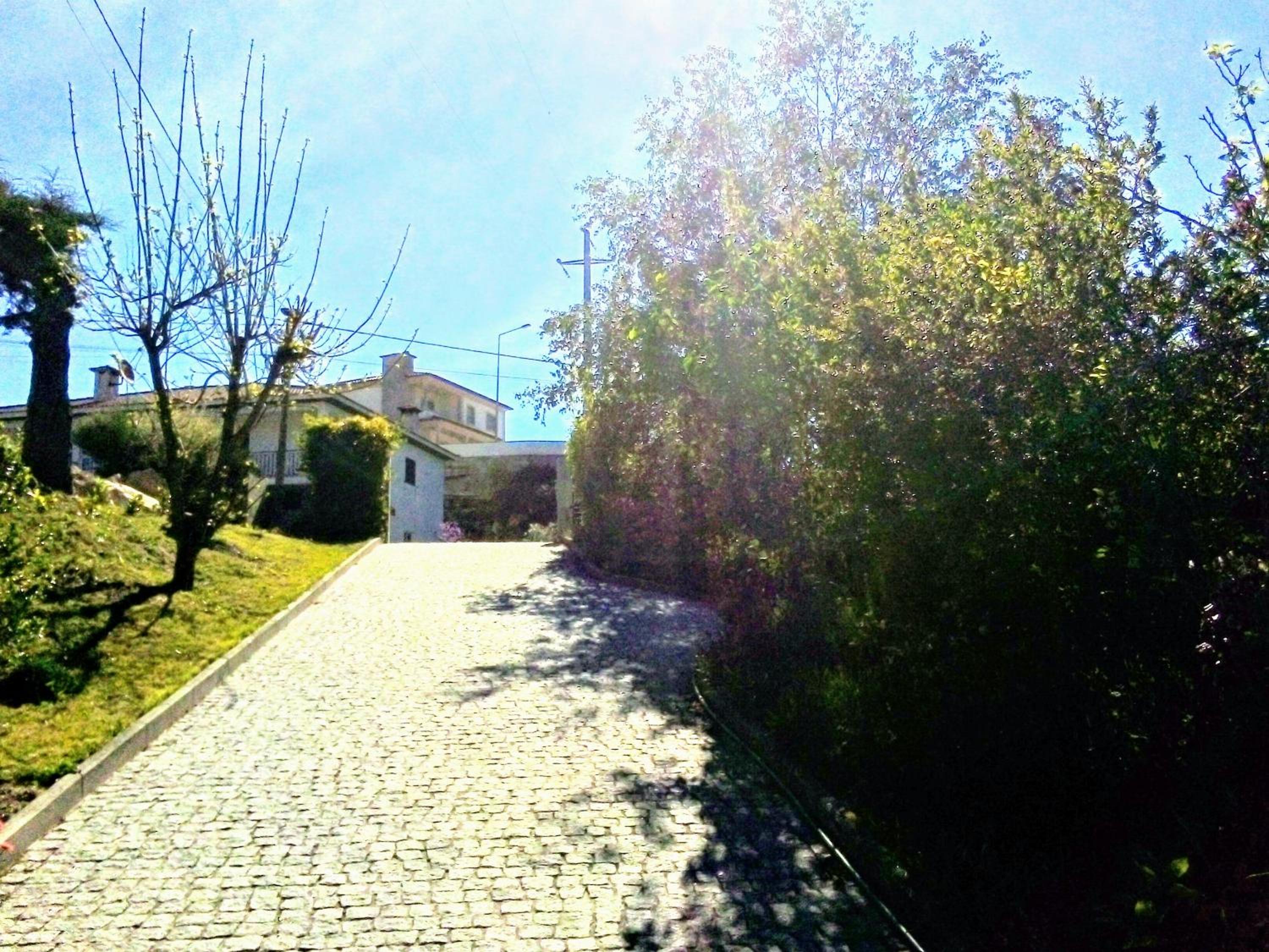 Photo 36