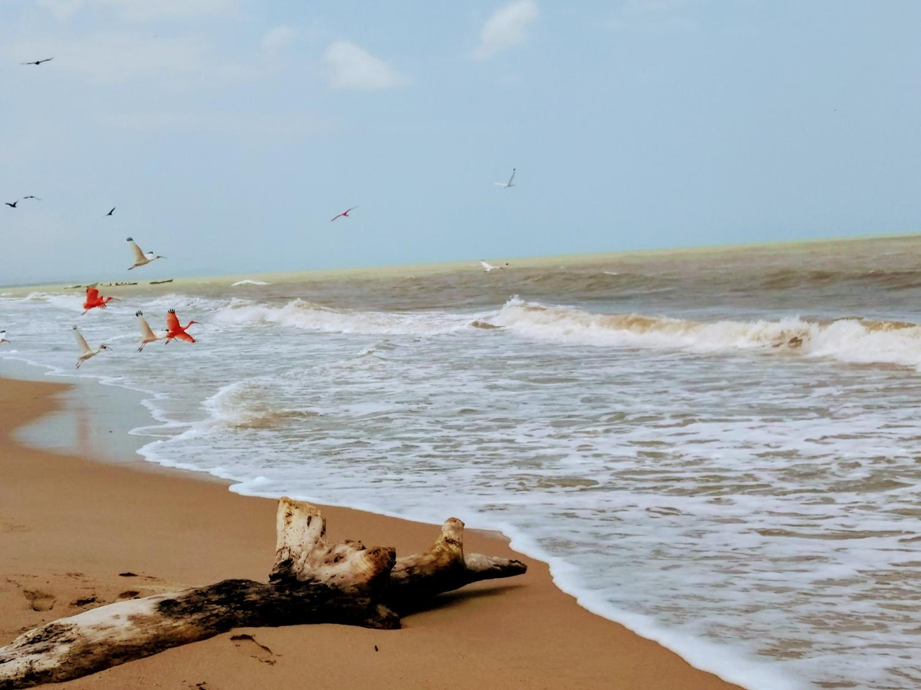 Playa Kai Glamping