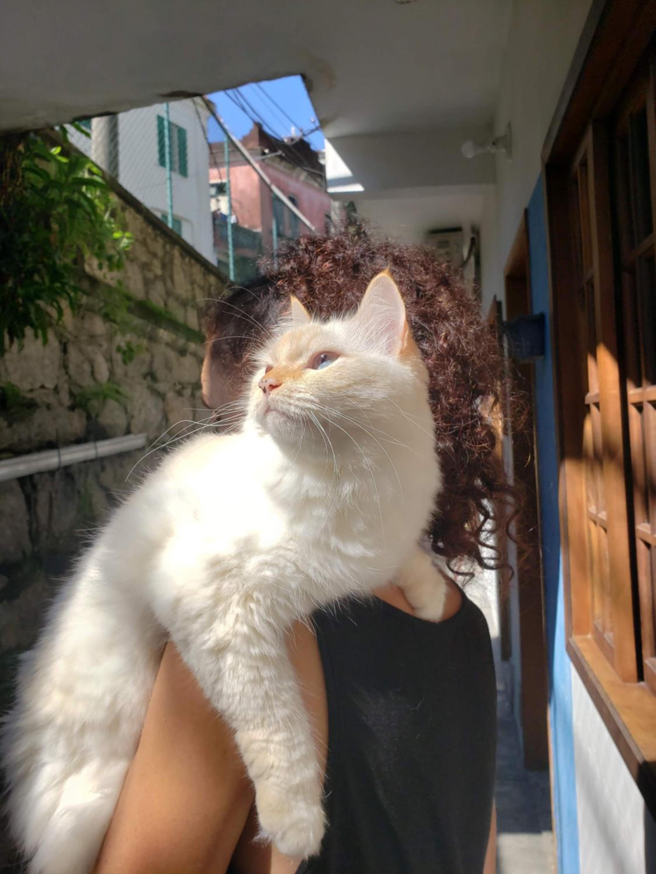 human