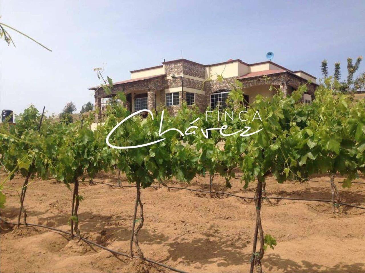 Ensenada Vacations - Finca Chavez - Property Image 89