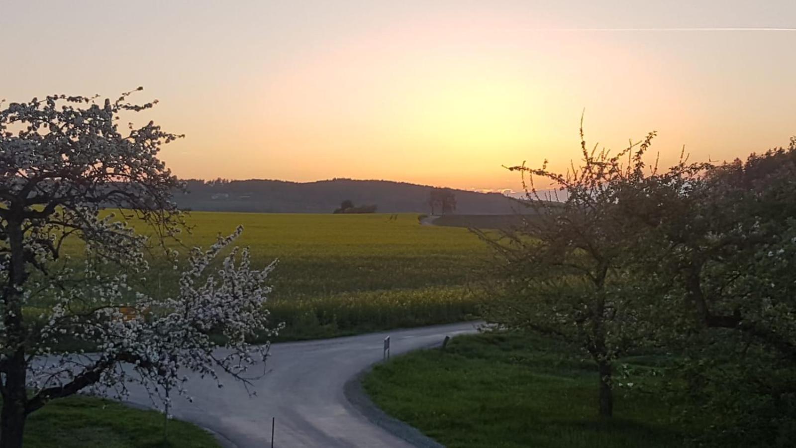Zettis Ferienhäusle
