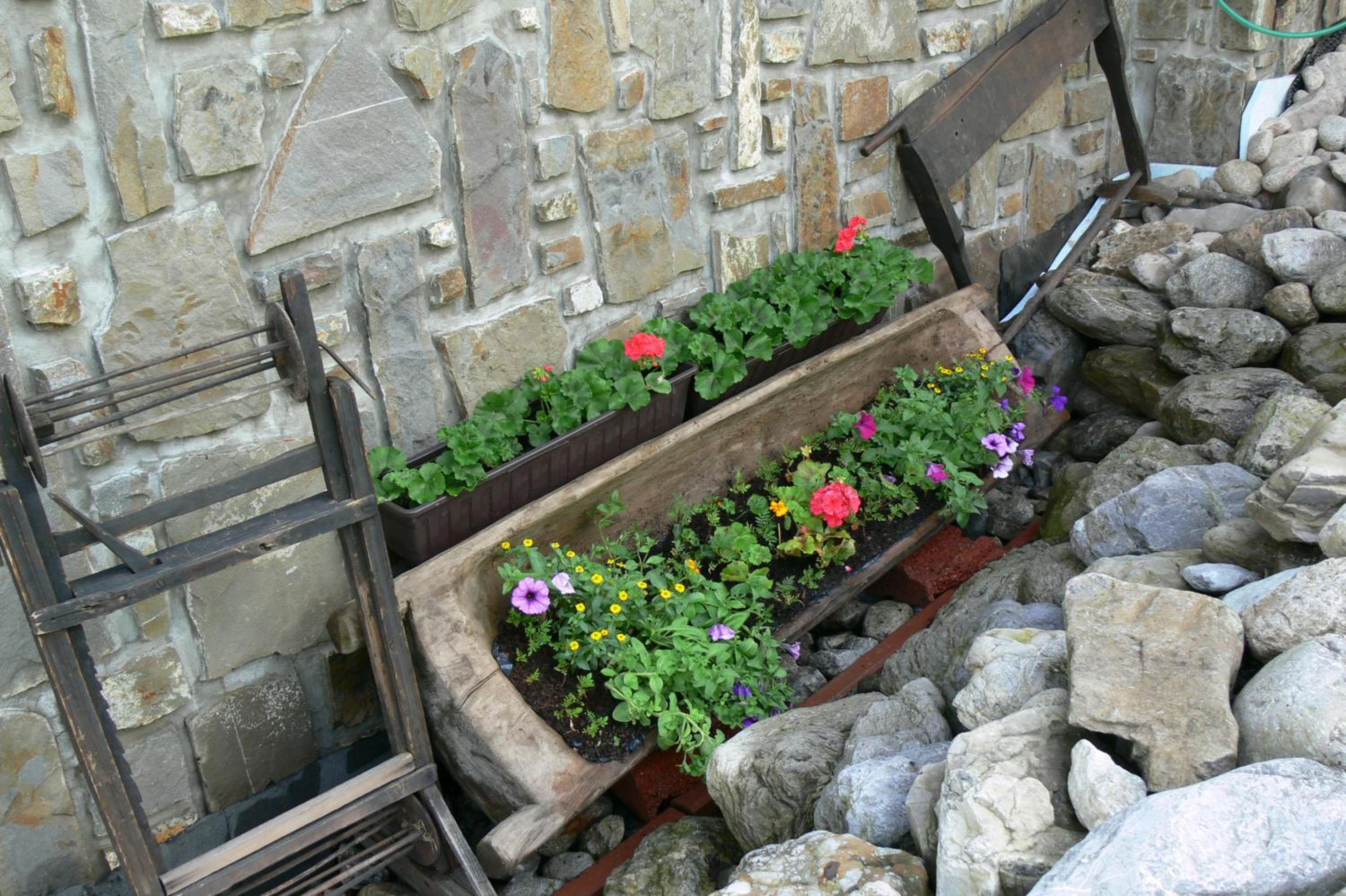Photo 46