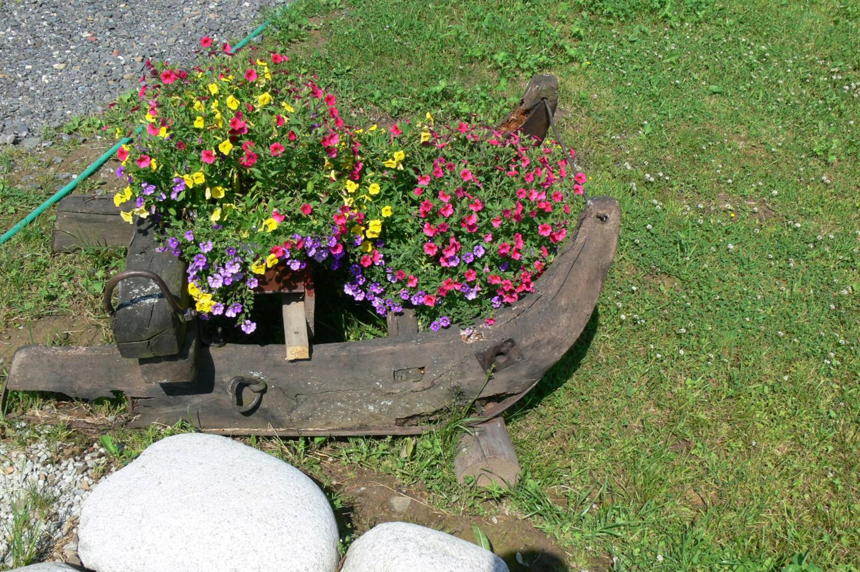 Photo 53