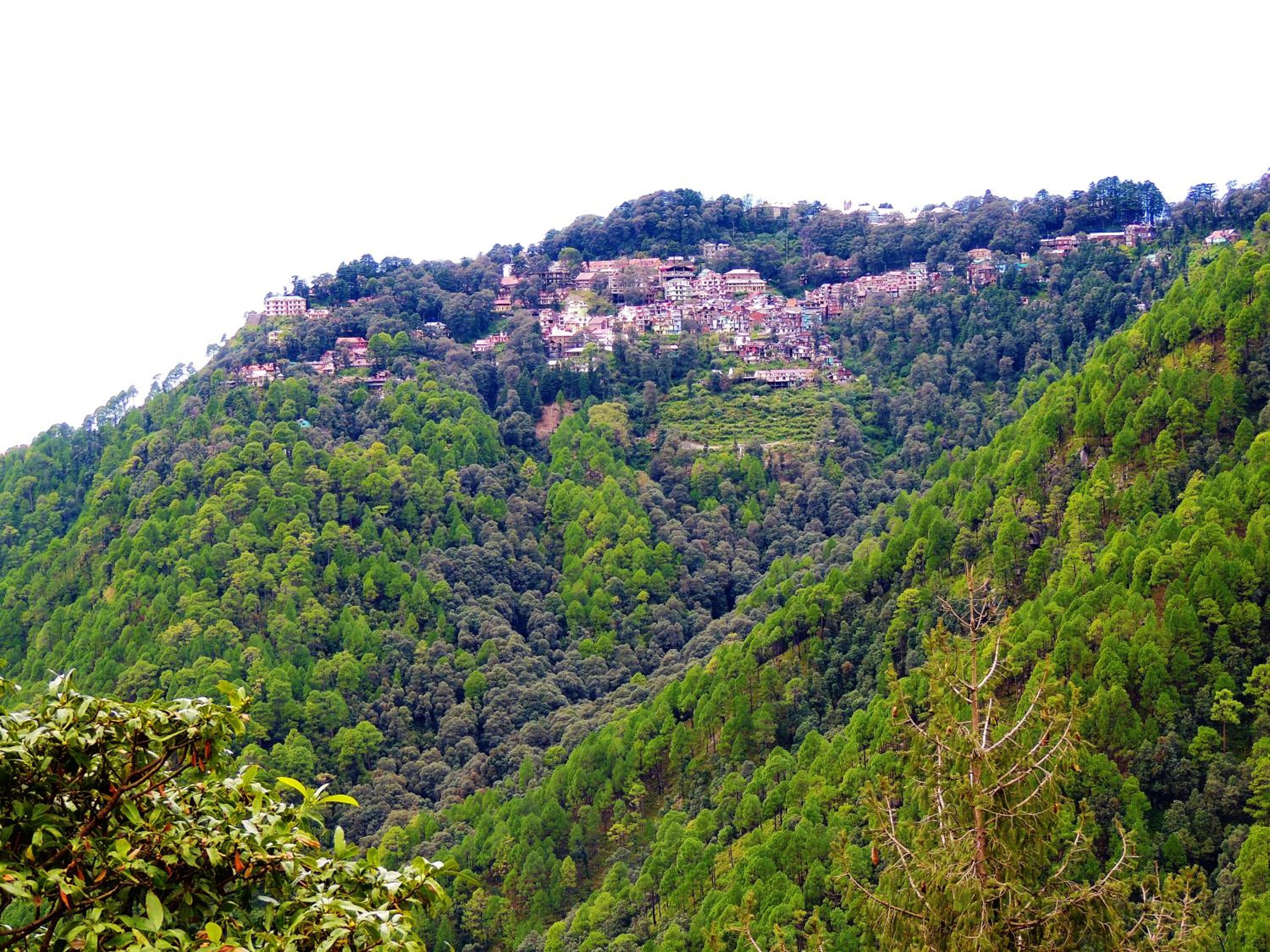 Peaceful Dalhousie