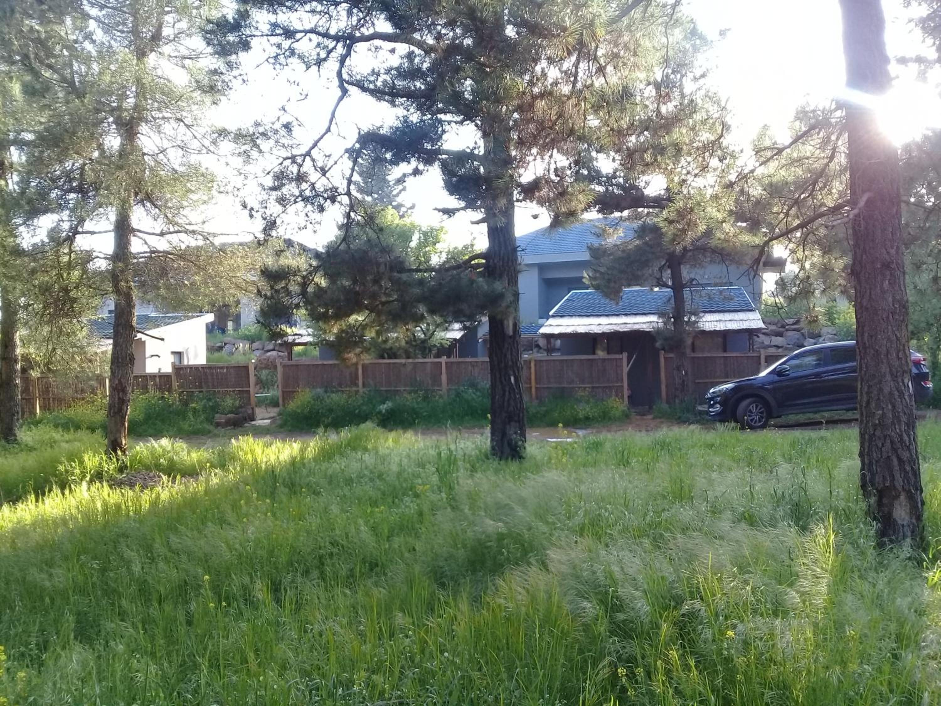 Photo 31