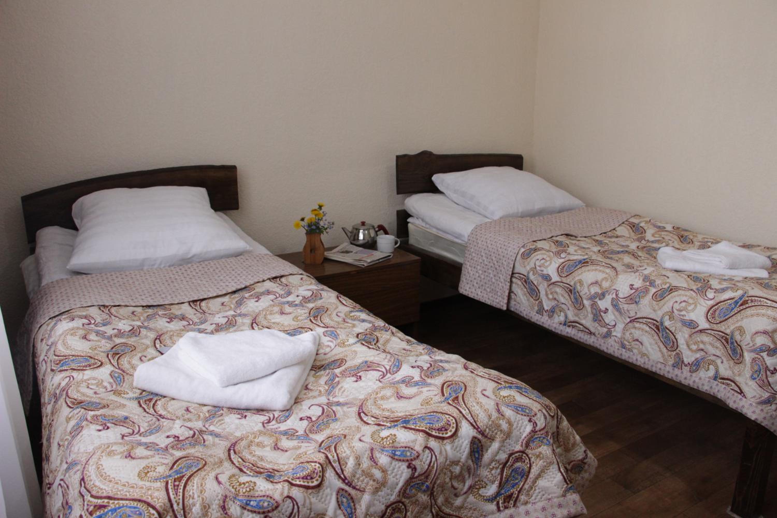 Snow Leopard Hostel view 4