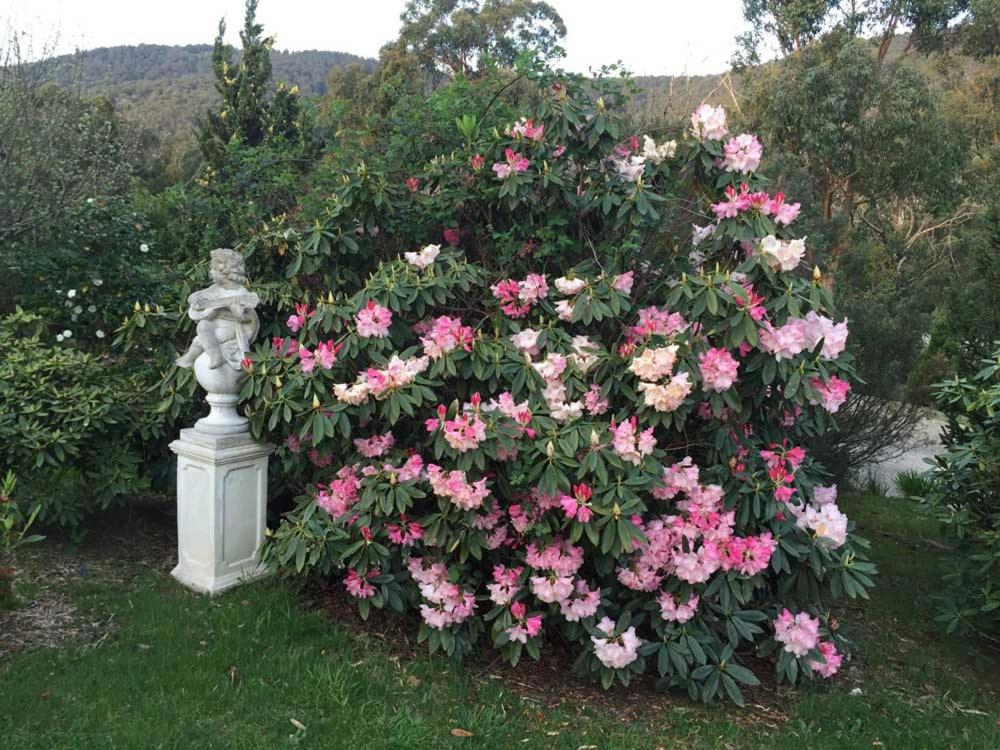 Home Farm Healesville