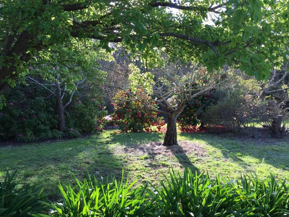 Home Farm Healesville