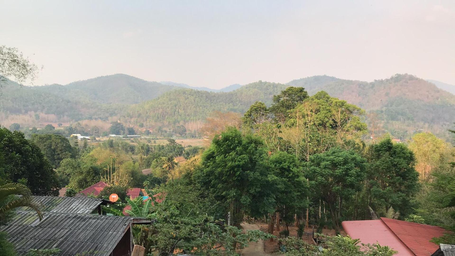Forest Guesthouse