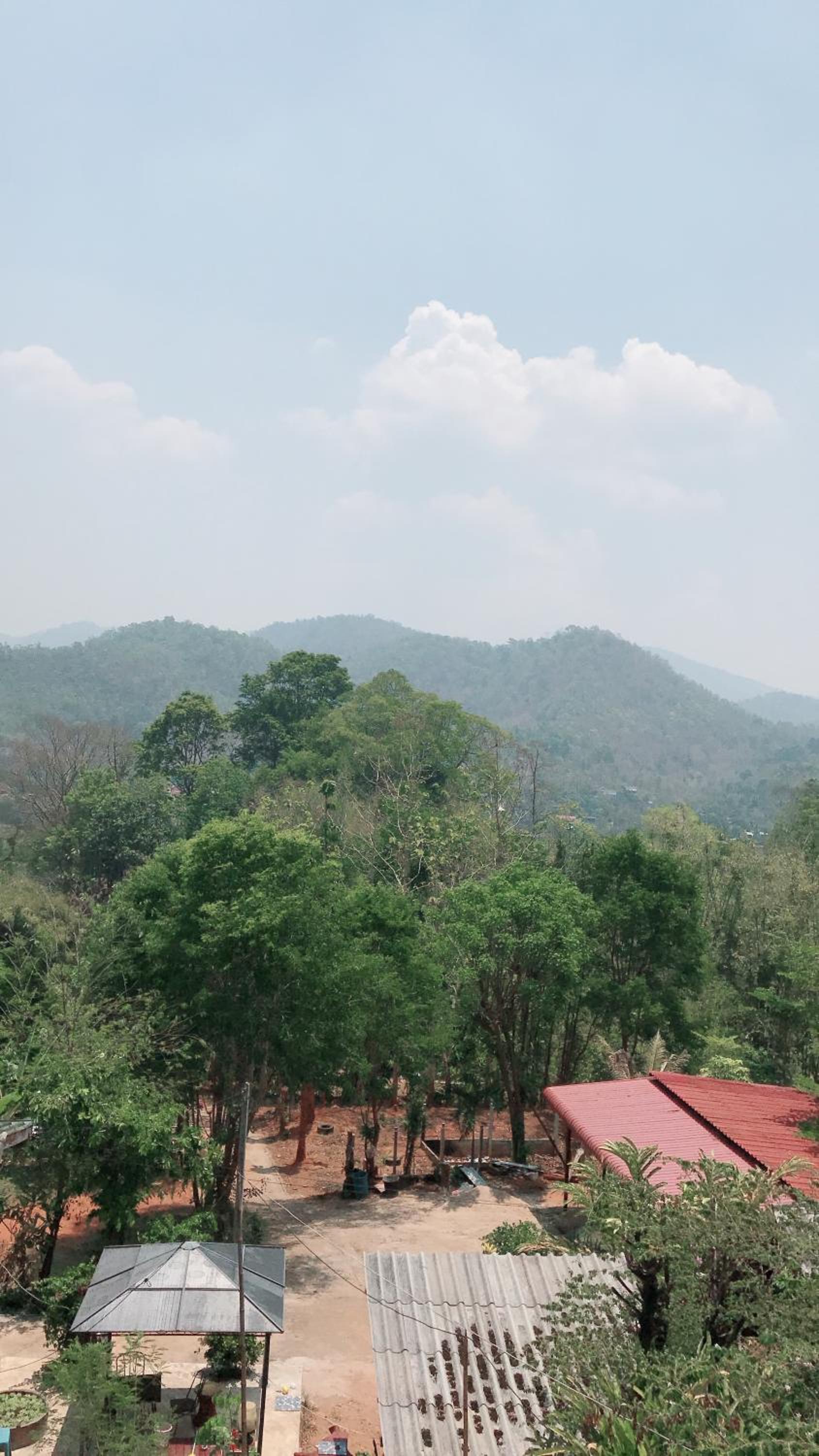 Forest Guesthouse