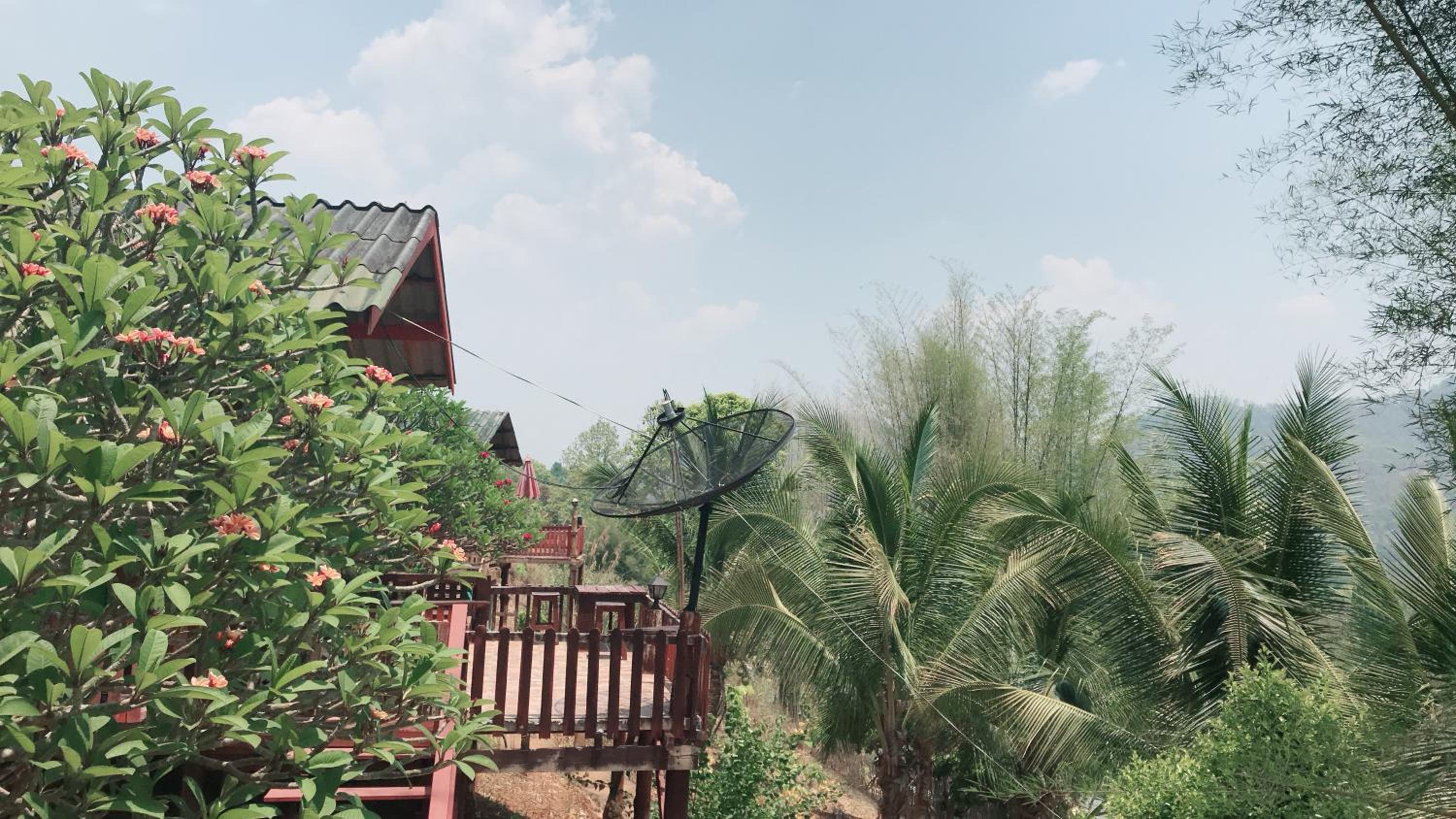 Forest Guesthouse