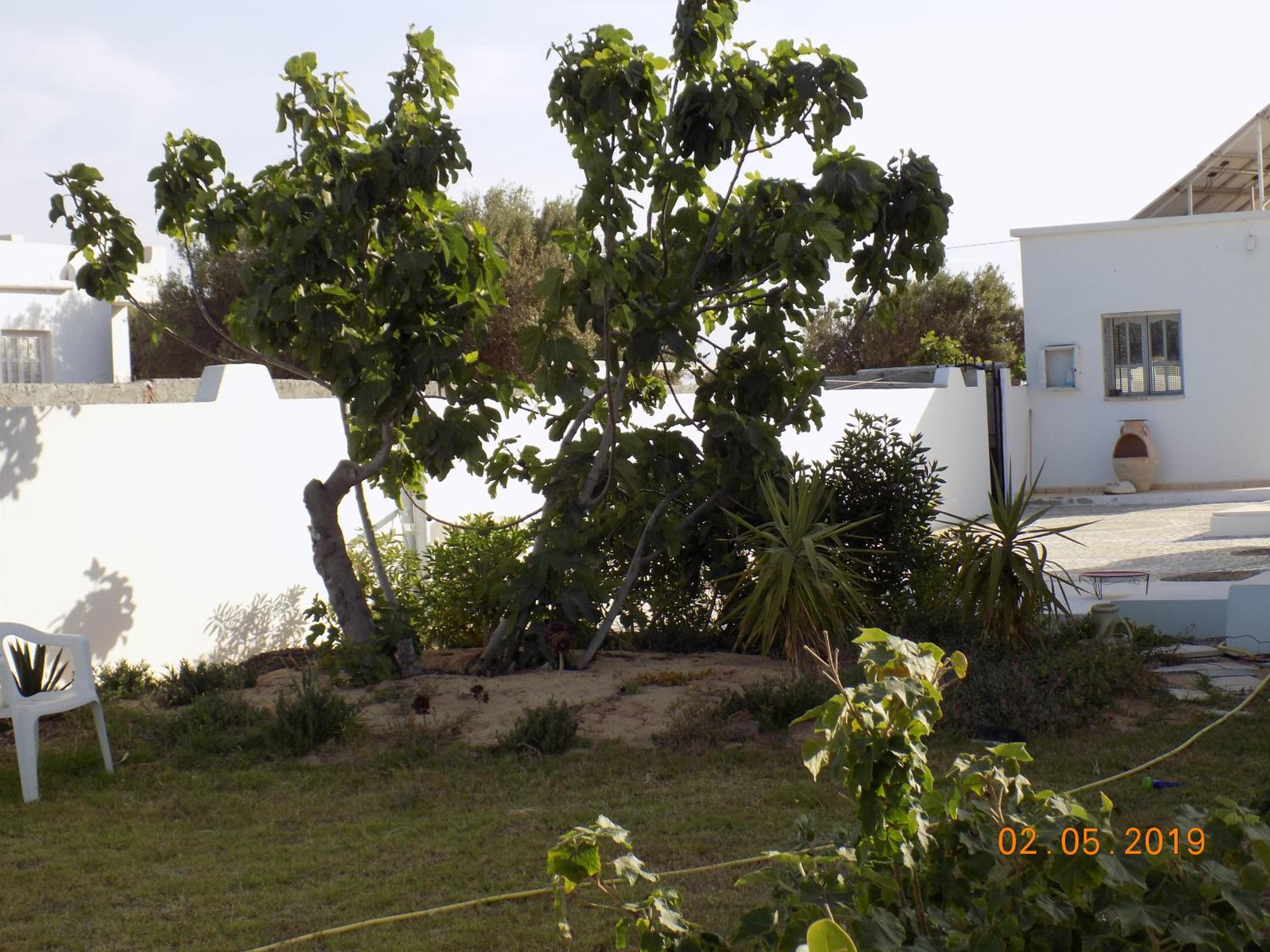 Dar Mamina
