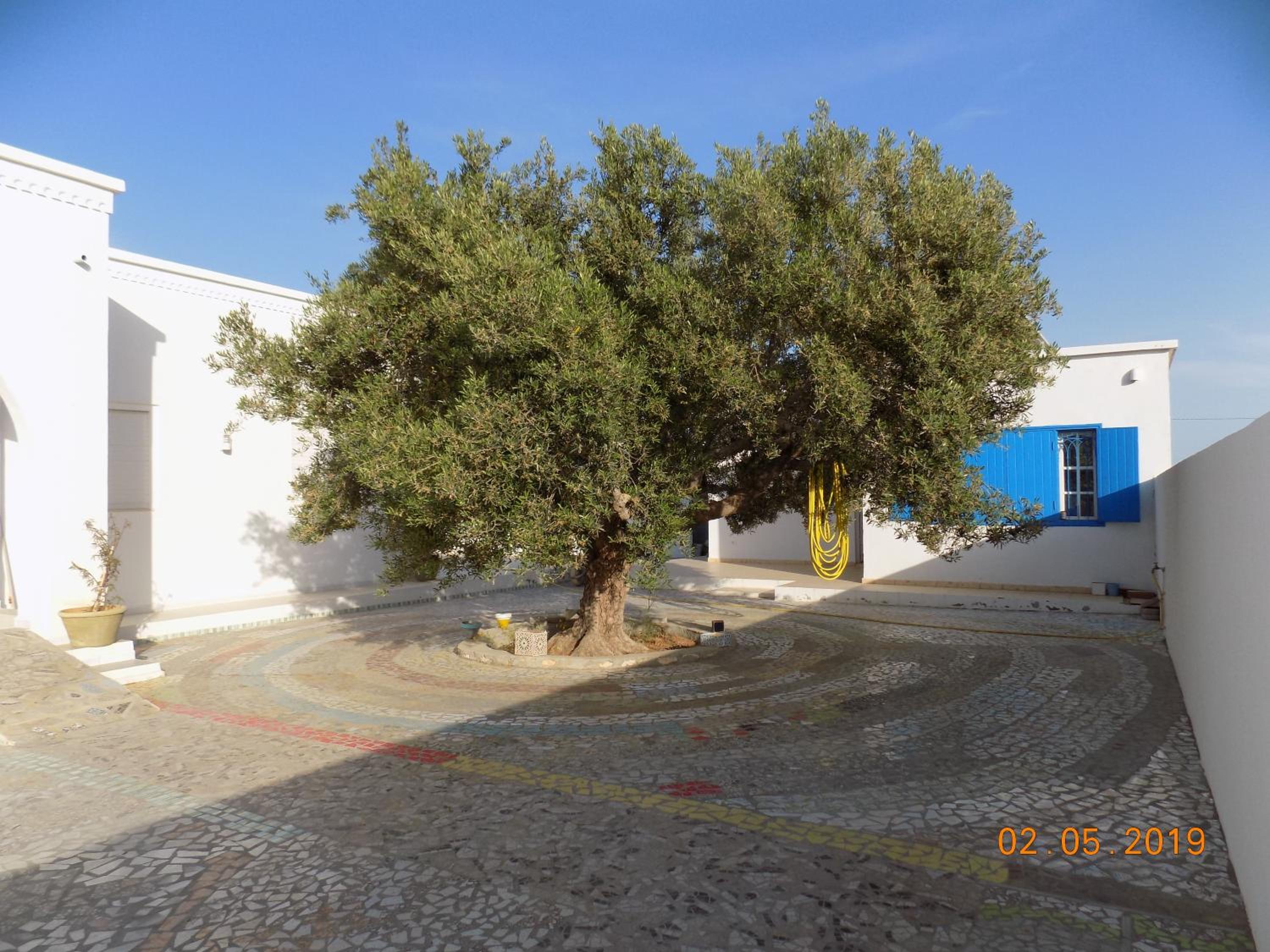 Dar Mamina