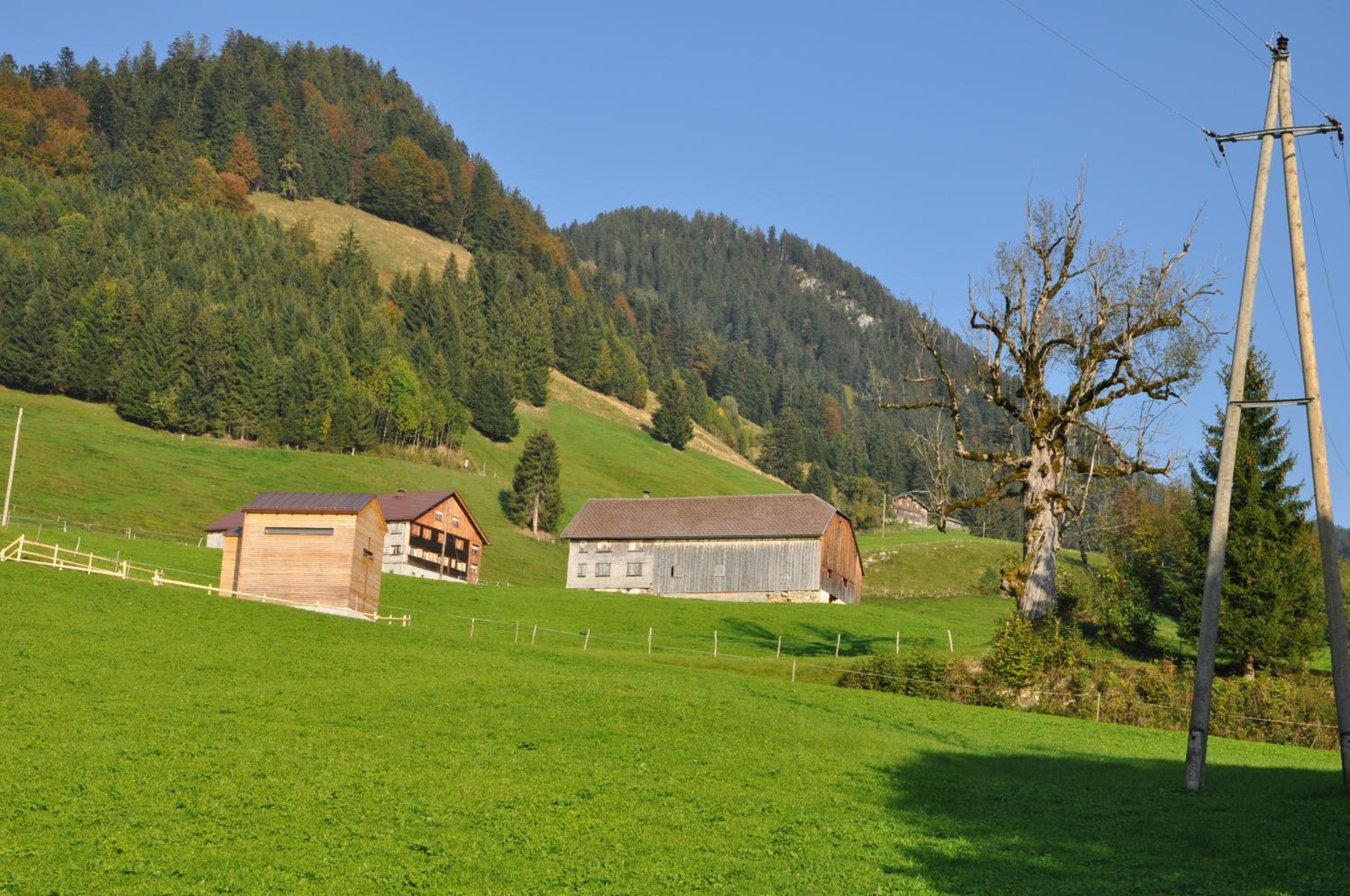 Gästehaus Graf