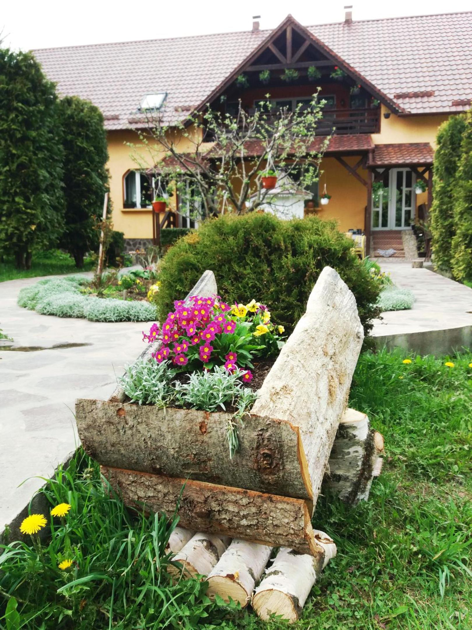 Photo 31
