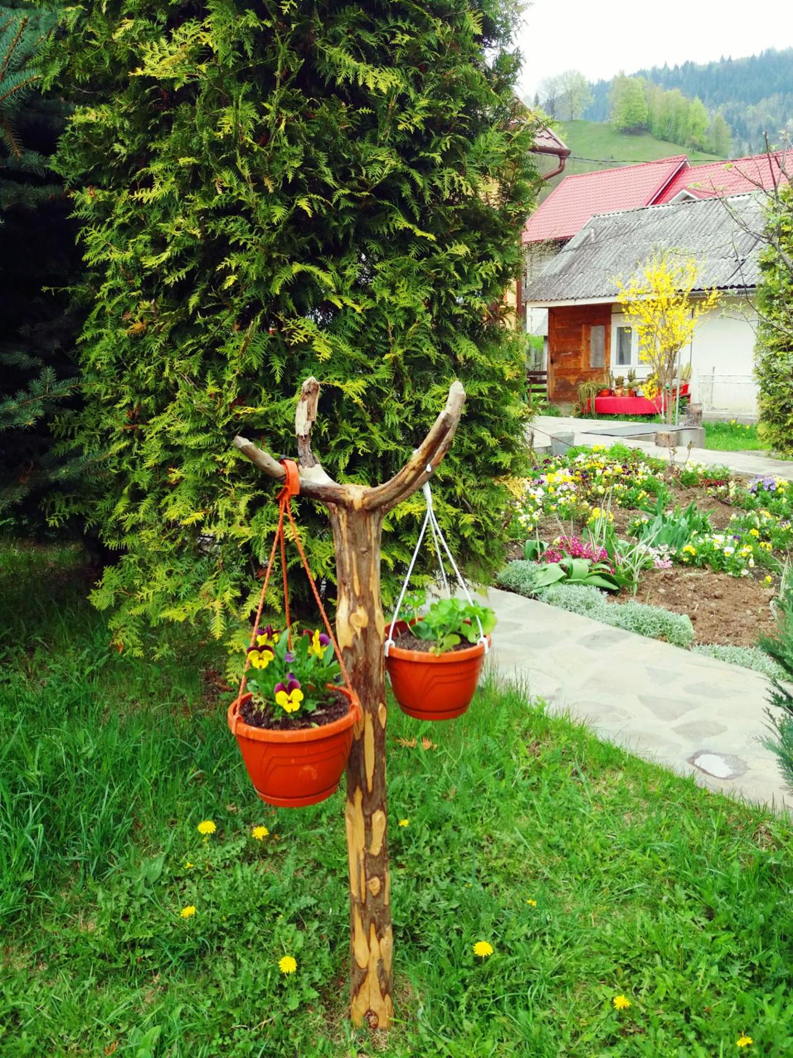 Photo 32