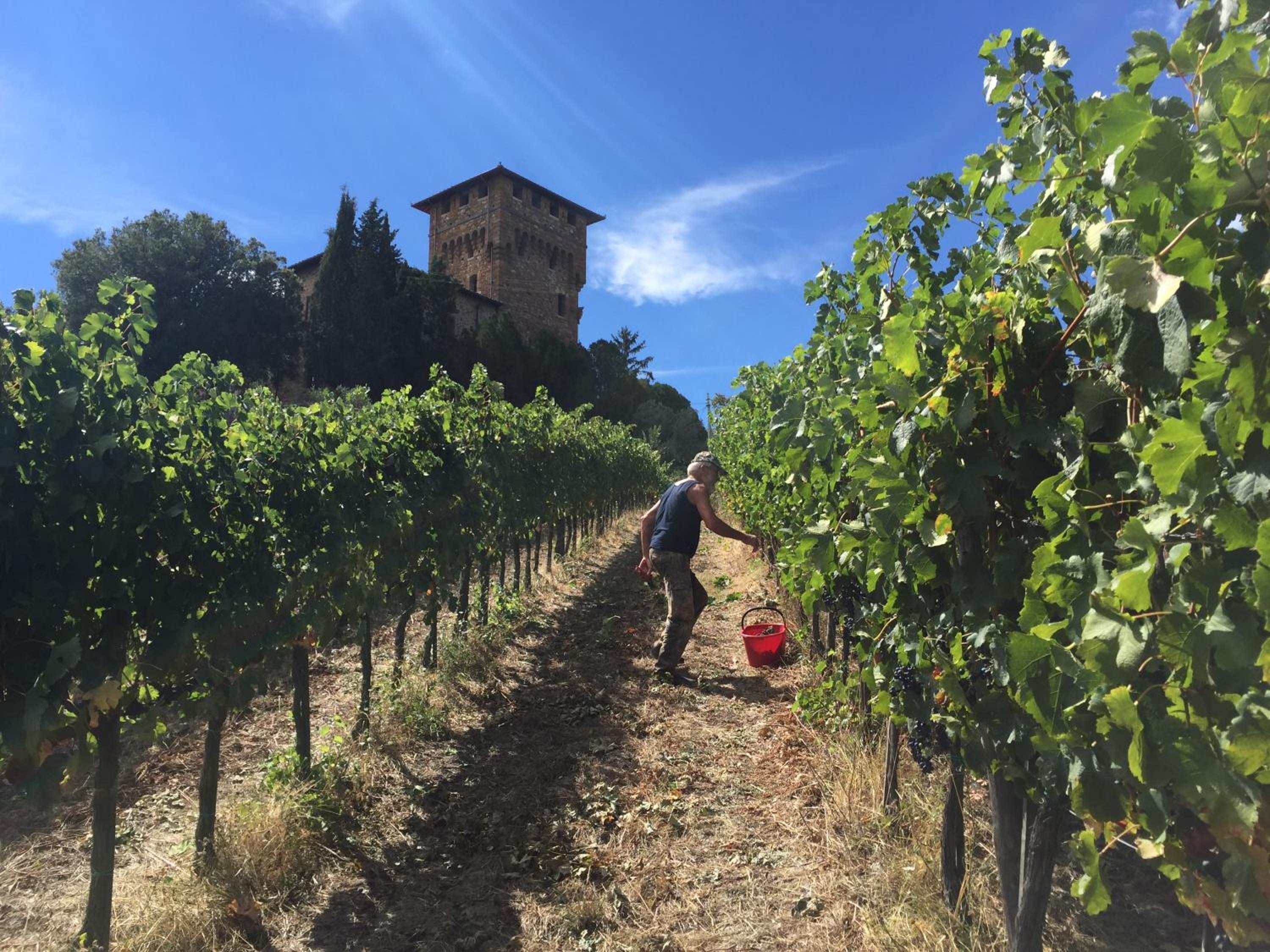 Castello di Cafaggio en Impruneta