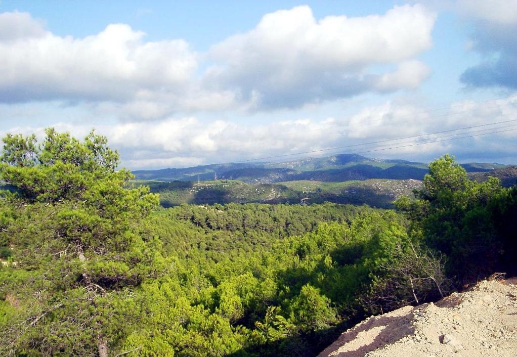 CAN MAGINET view 2