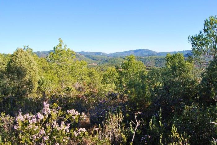 CAN MAGINET view 3