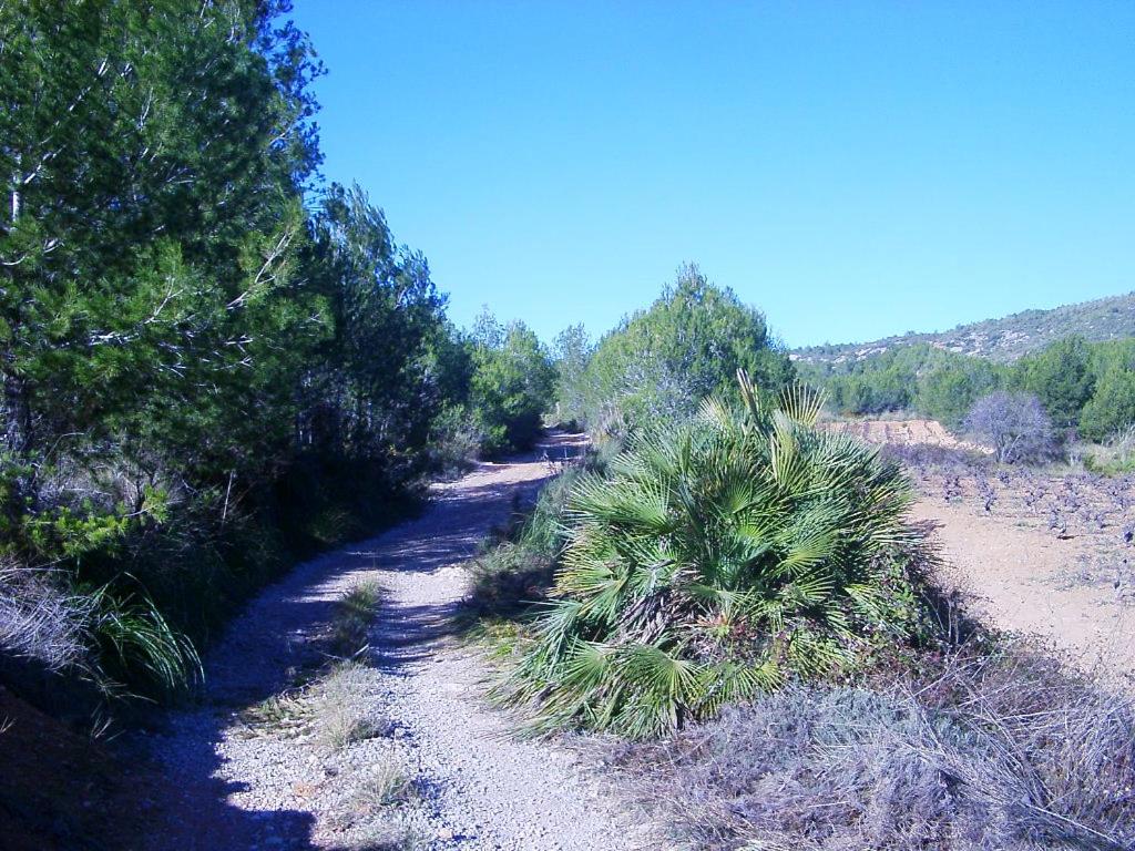 CAN MAGINET view 5