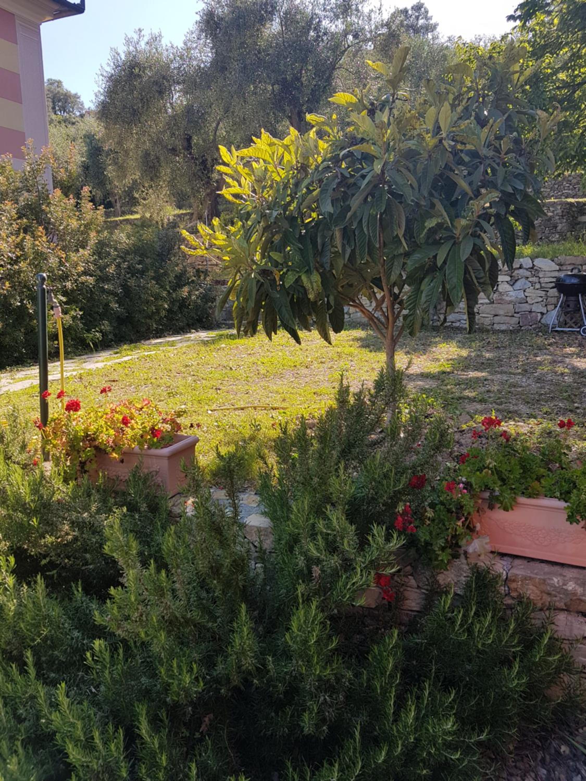 Photo 32