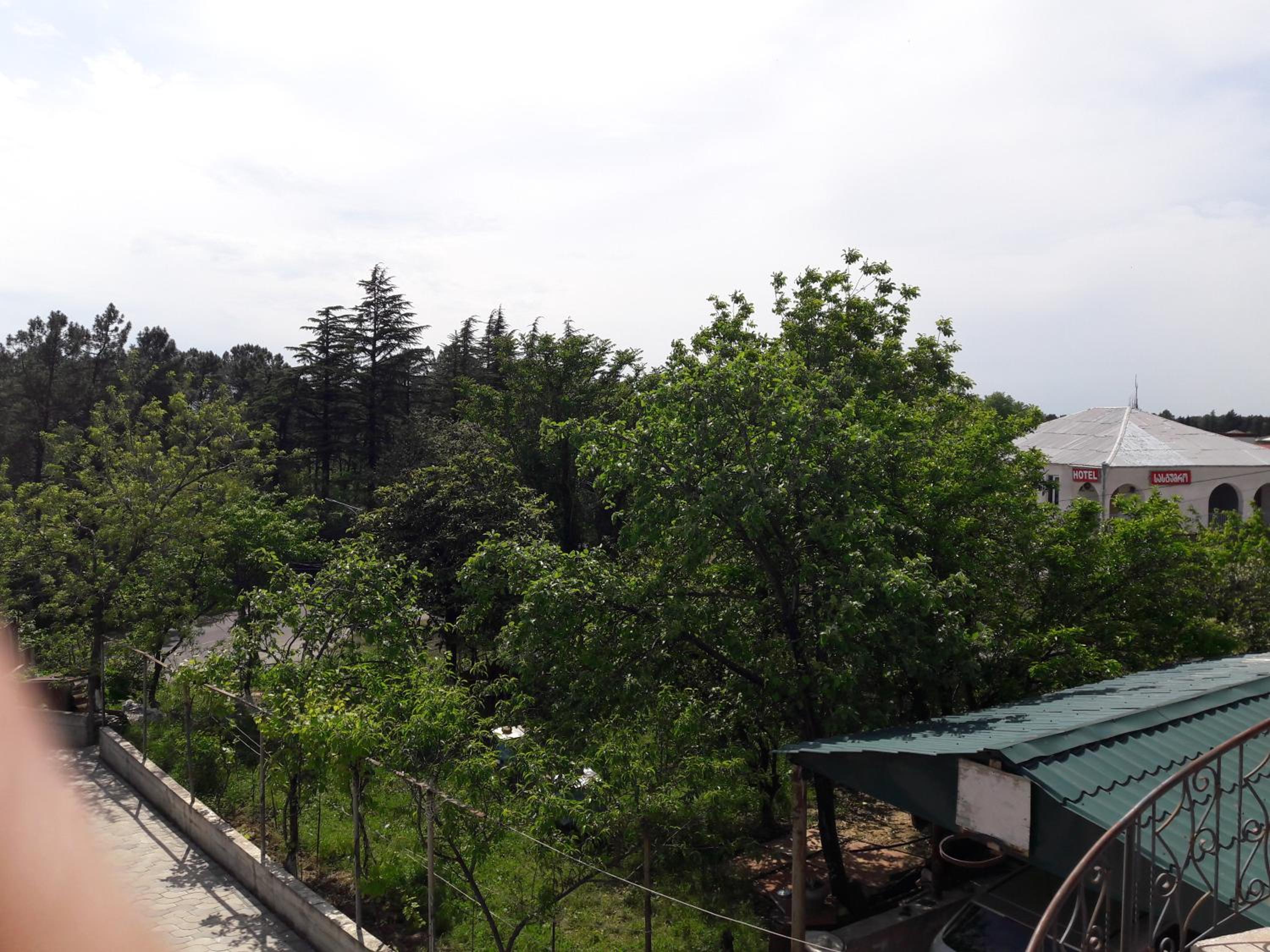 Photo 18