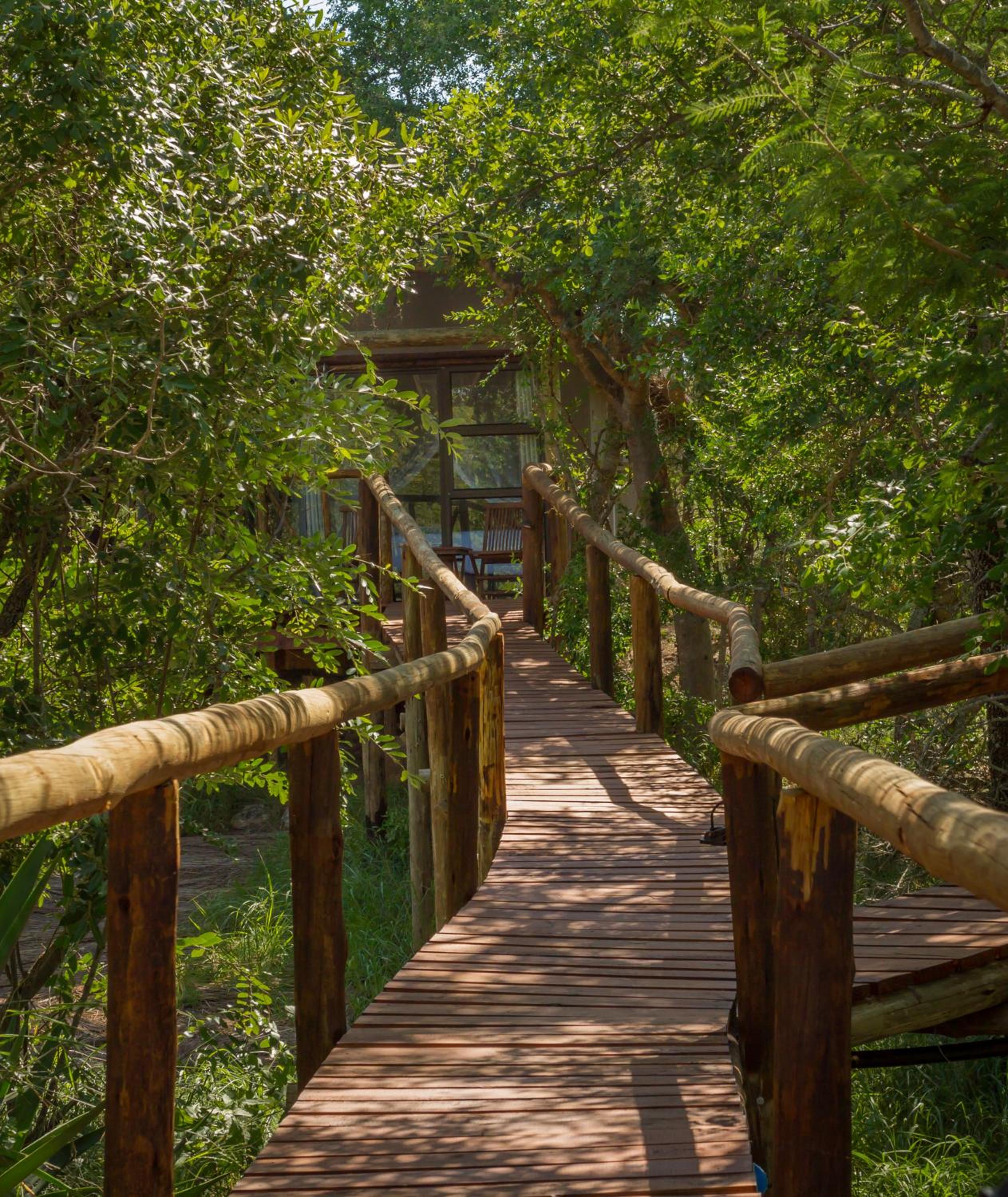 Panzi Lodge