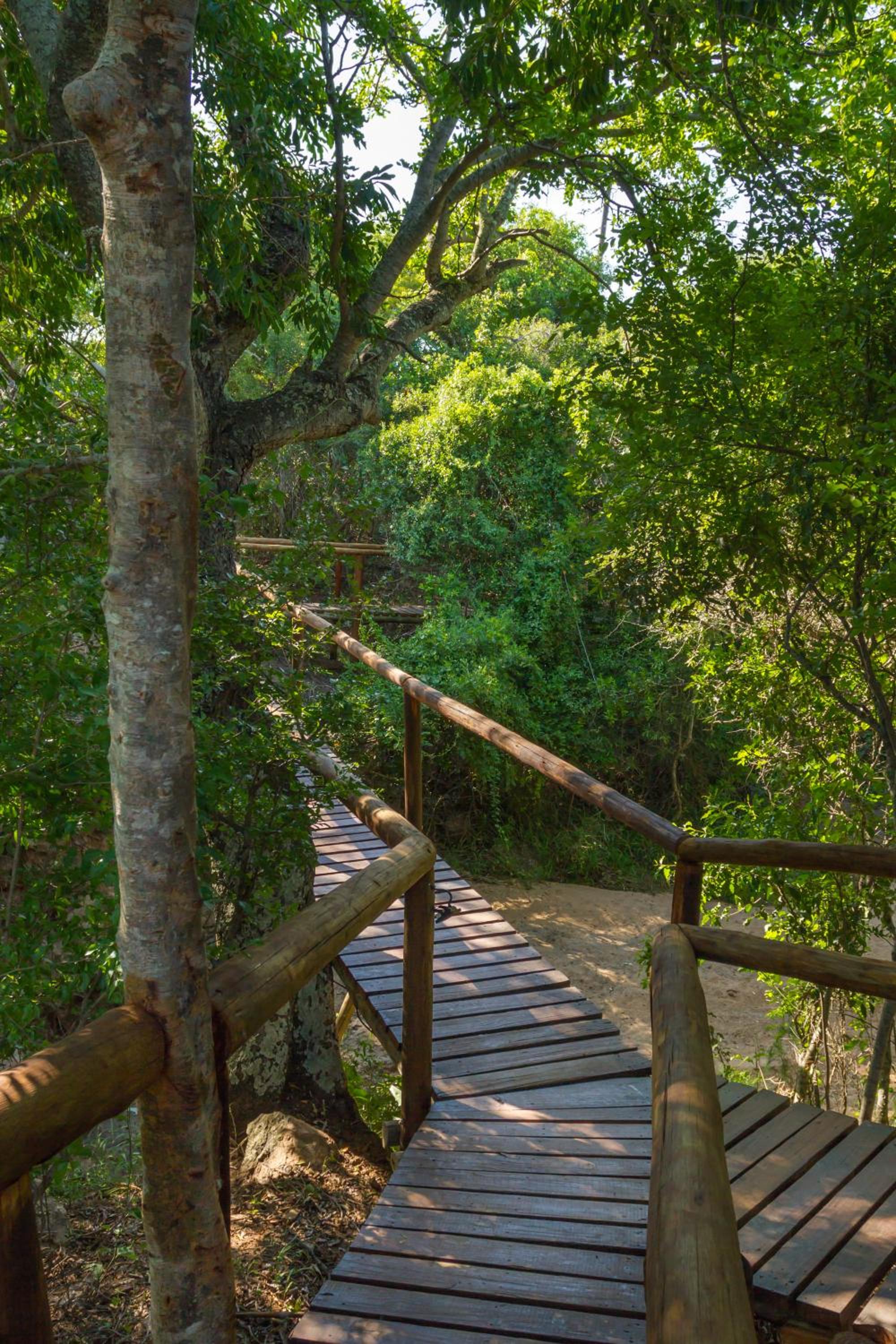 Panzi Lodge