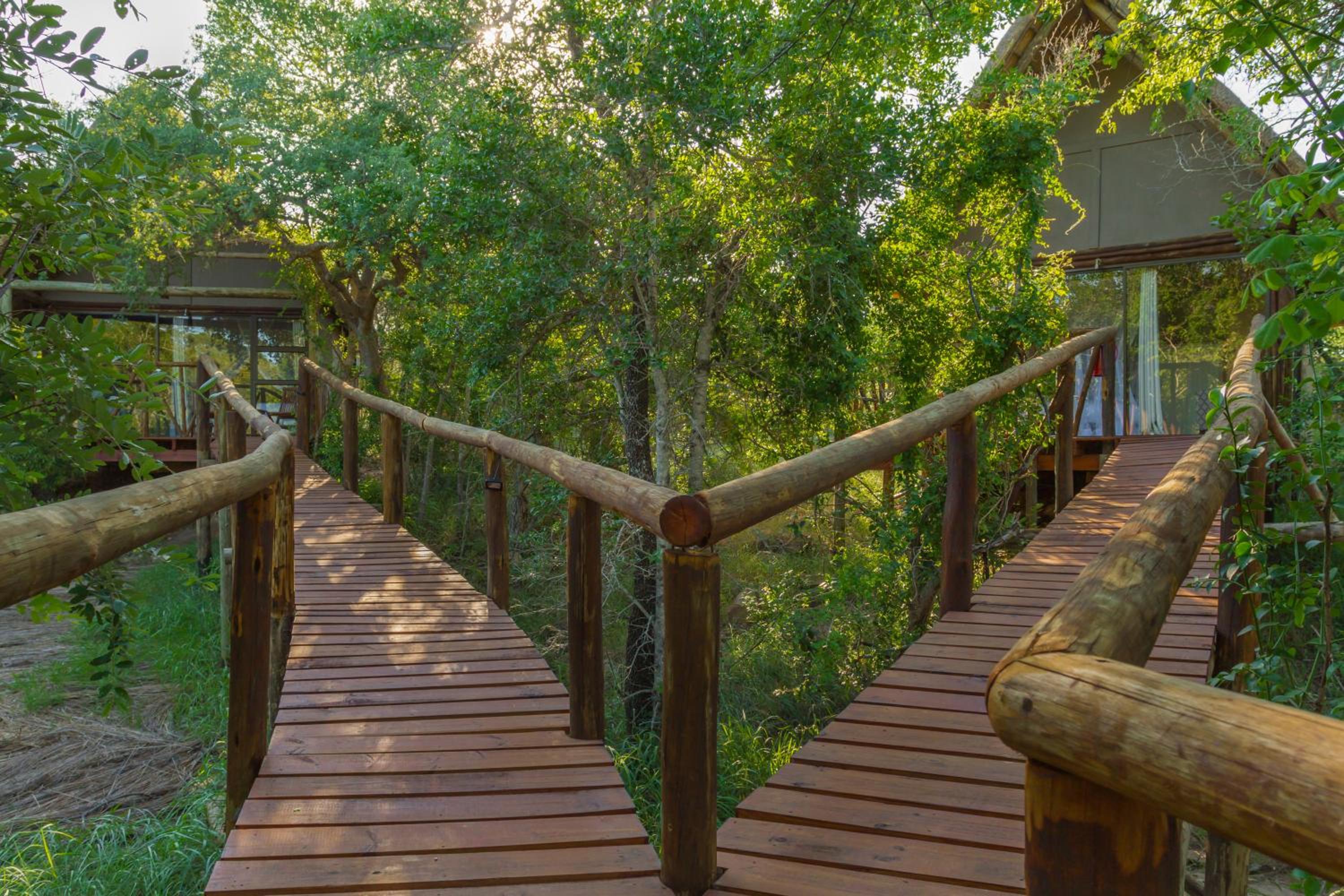 Panzi Lodge