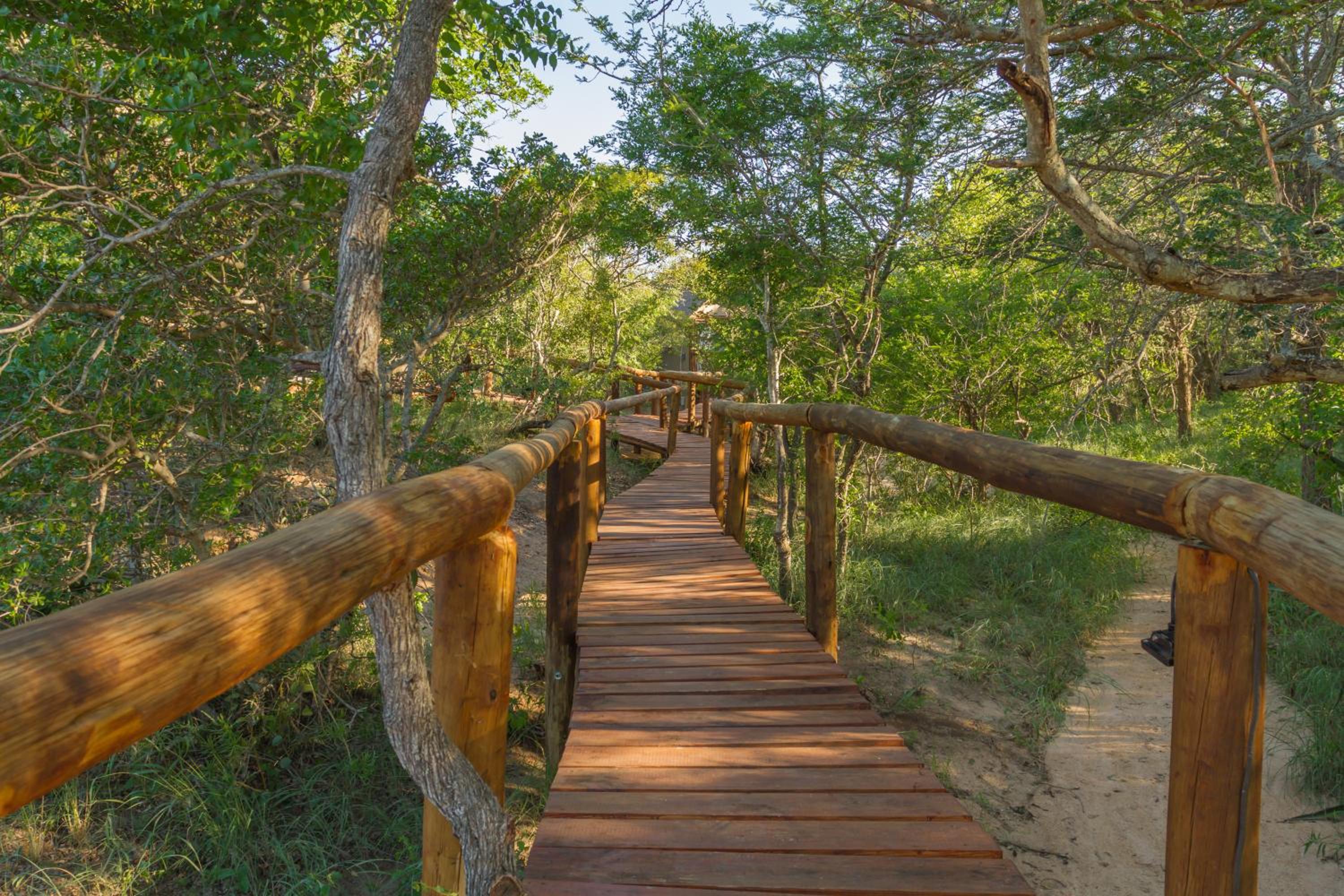 Panzi Lodge