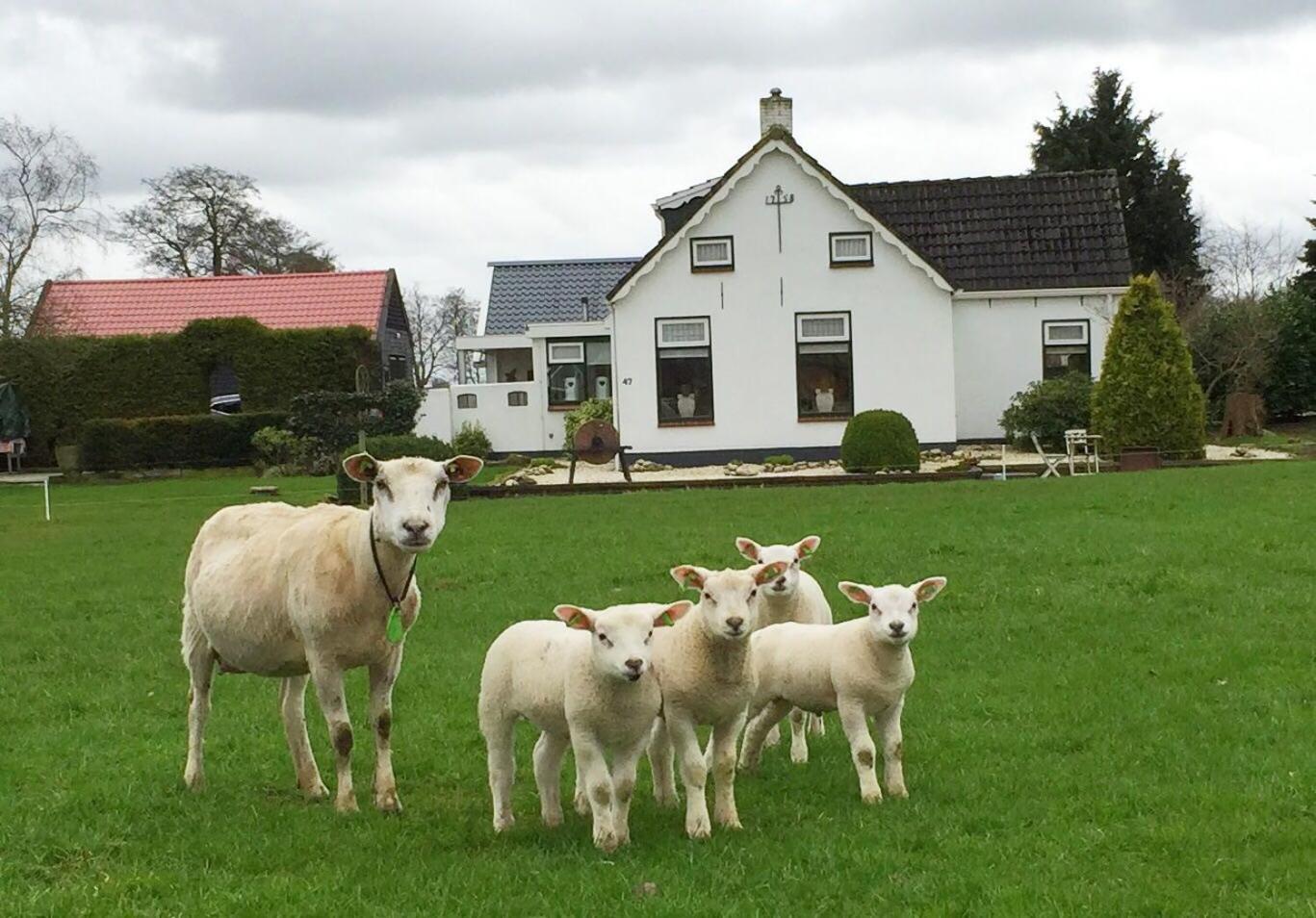 Sfeervol Appartement Het Knooppunt - Property Image 18